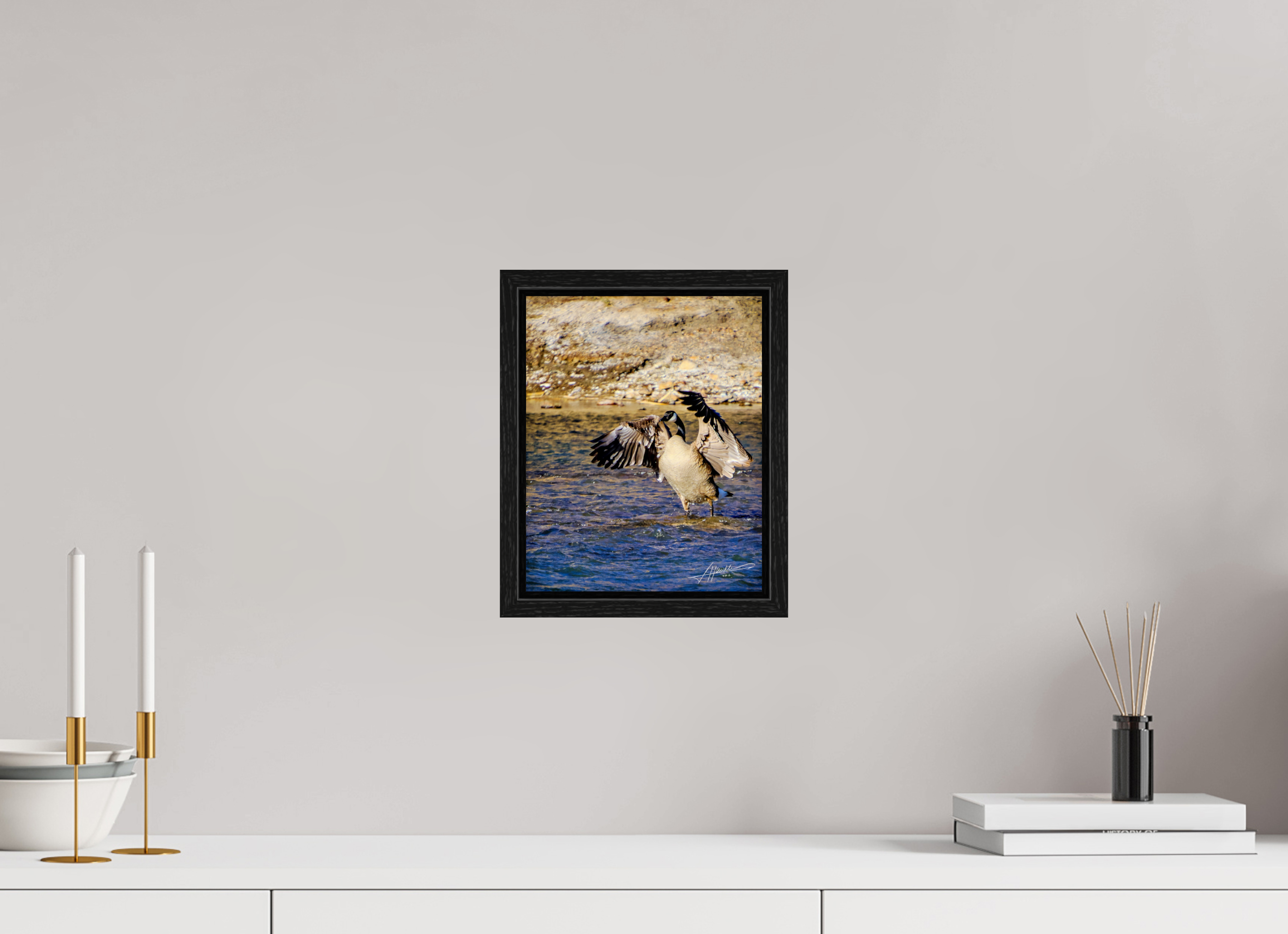 8 x 10″, Floater Frame The Bathing Goose