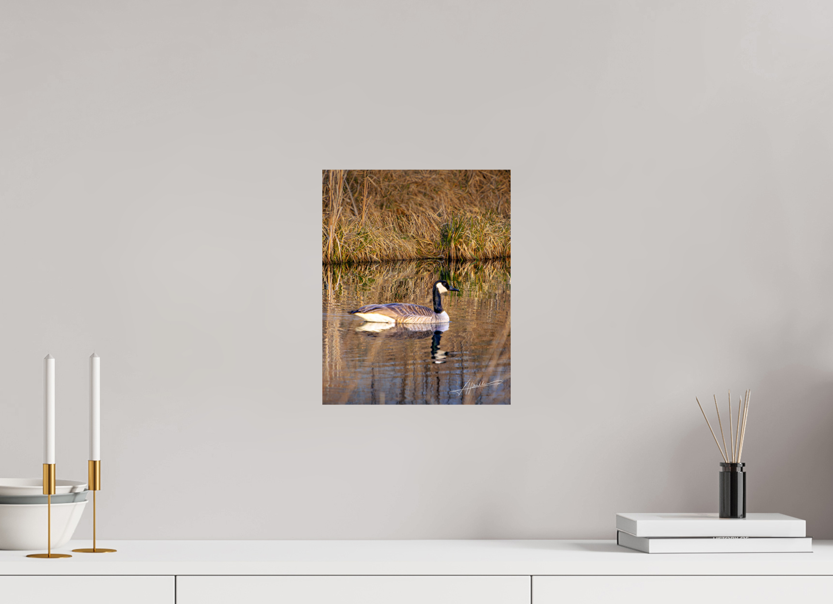 10 x 12.5″, Fine Art Dibond A Swimming Reflection
