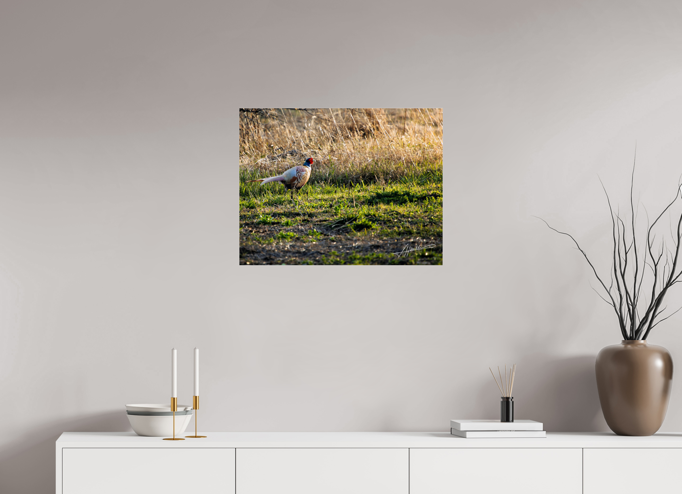 25.9 x 20″, Metallic Under Acrylic Evening Pheasant
