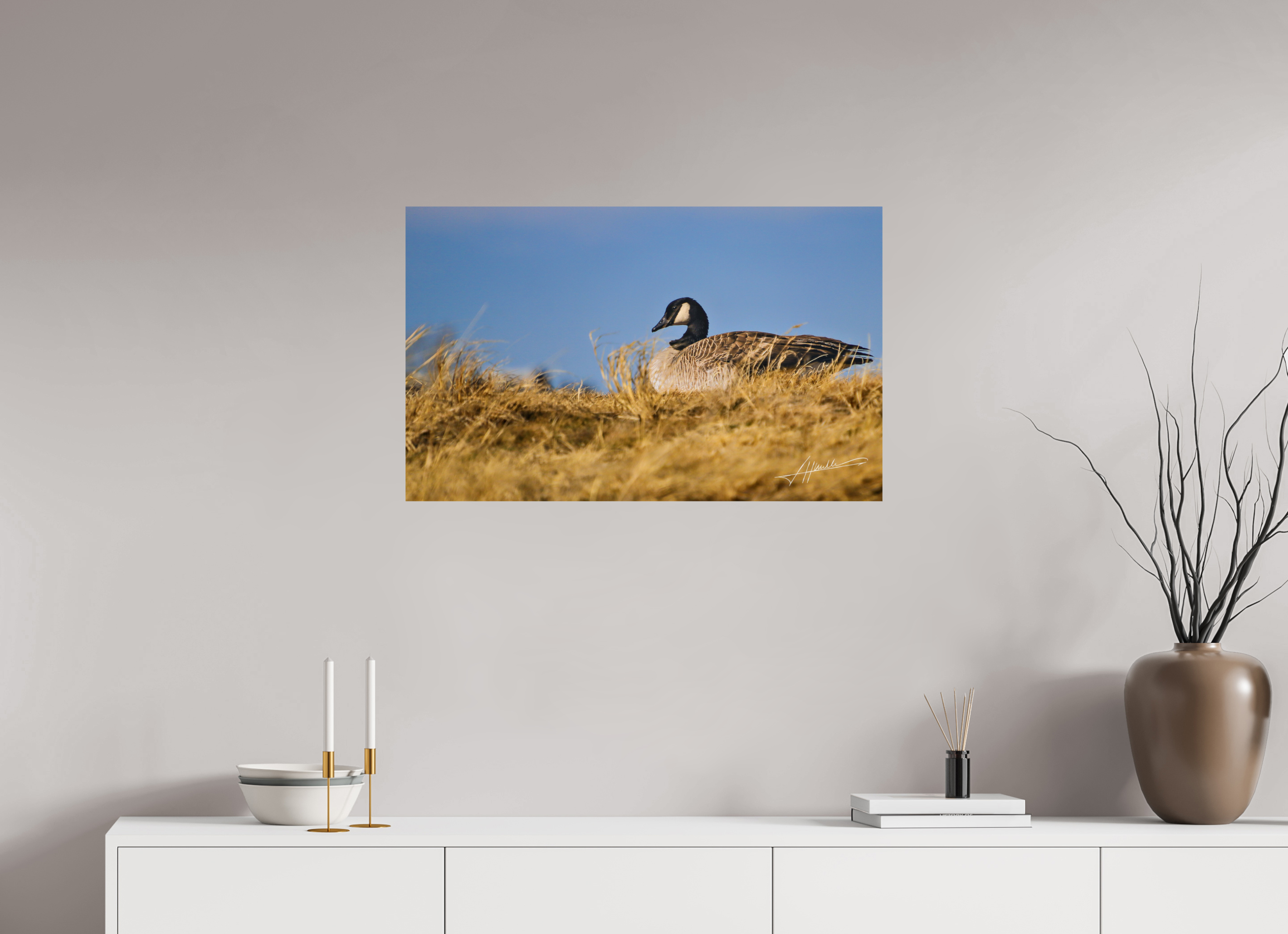 32.4 x 20″, Photo Print On Fuji Crystal DP II The Nesting Goose