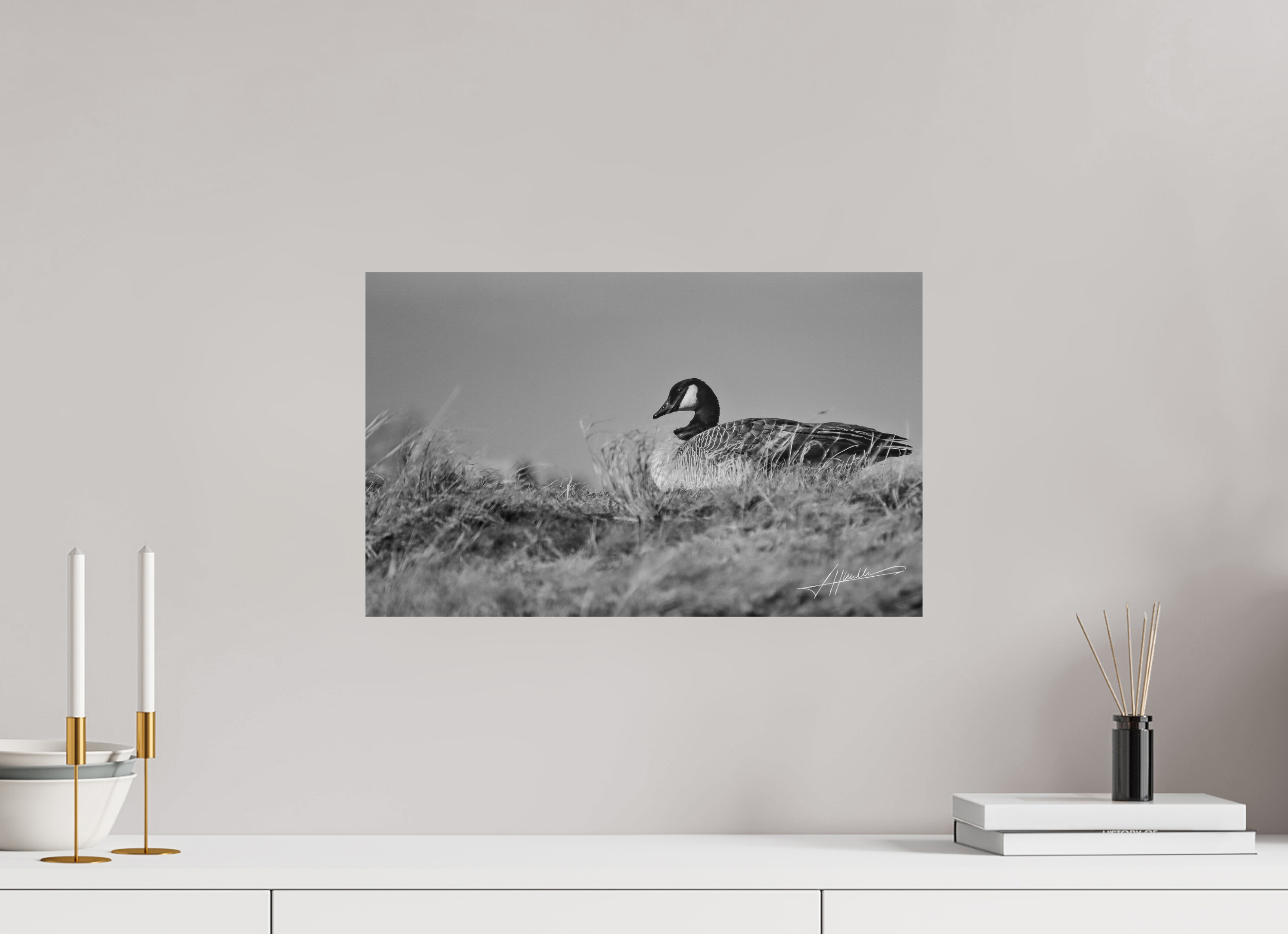 19.4 x 12″, Photo Print On Ilford Baryta Paper The Nesting Goose