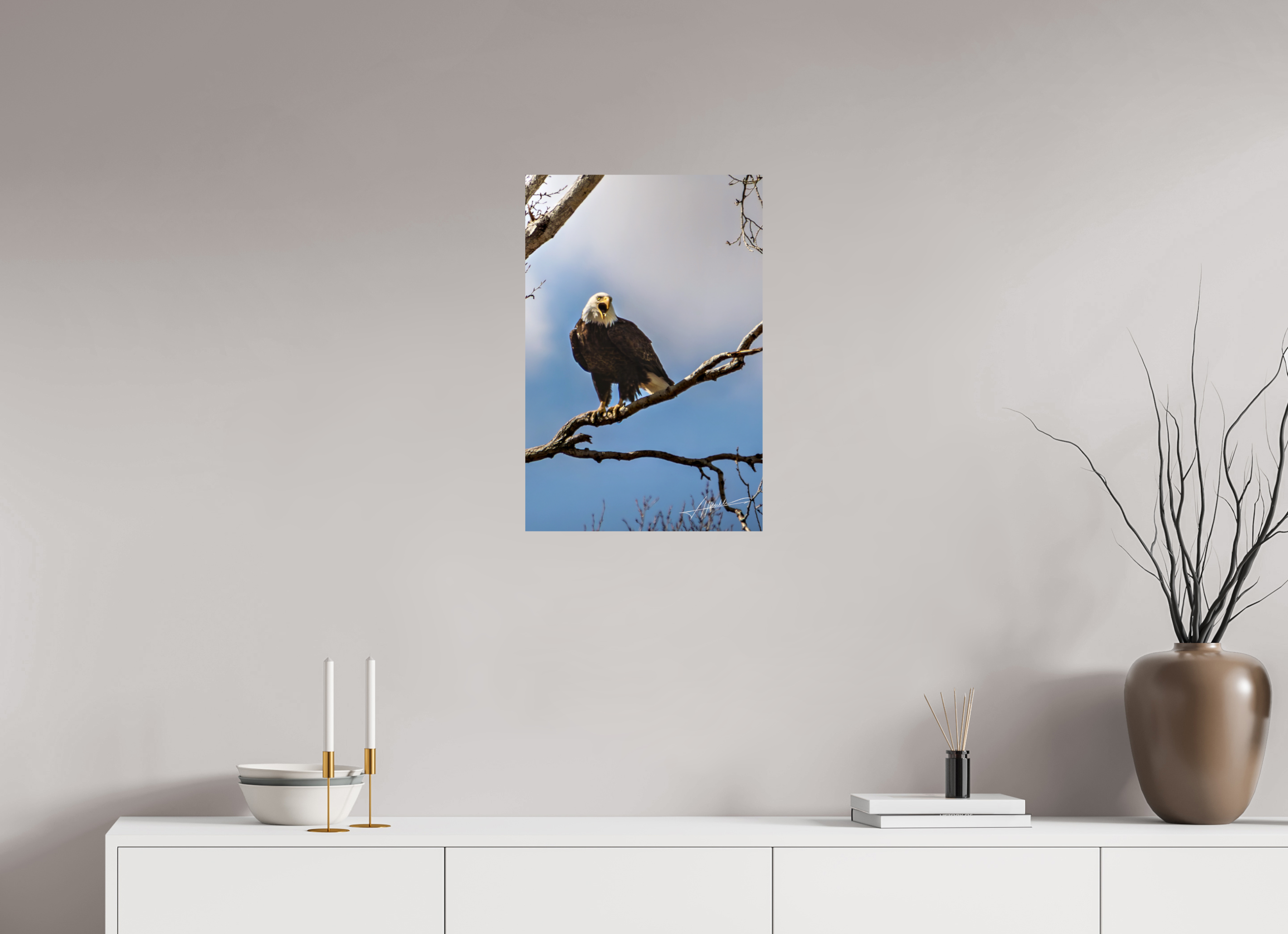 16 x 24″, Fine Art Dibond The Eagle's Call