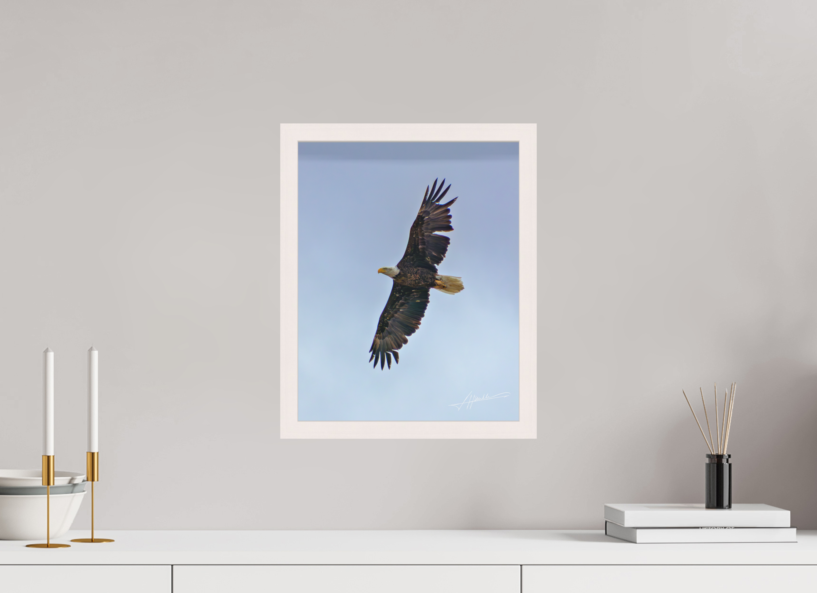 12 x 15″, Shadow Box Frame Wings Spread