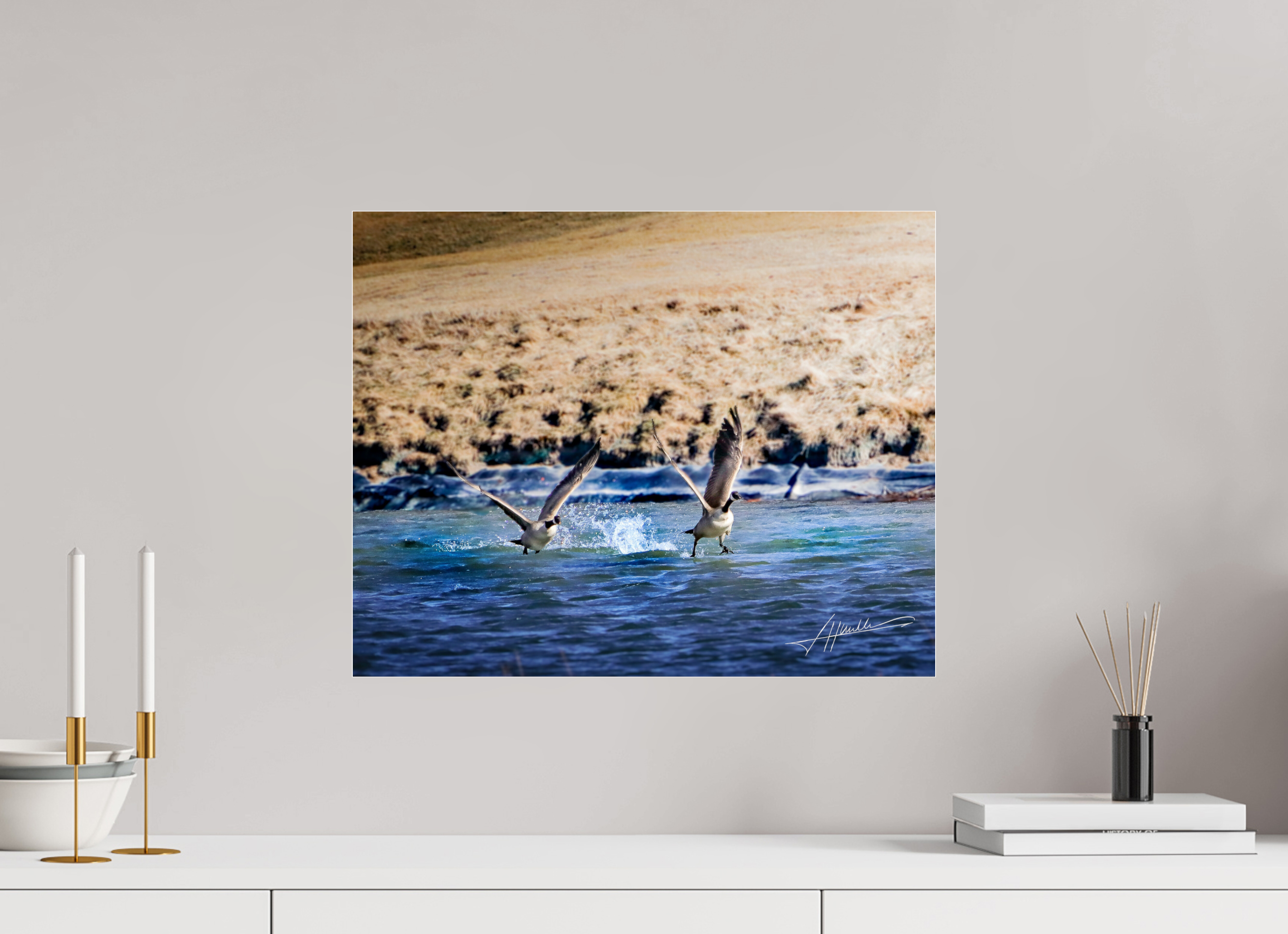 20 x 16″, Photo Print Under Acrylic Glass Geese Taking Flight