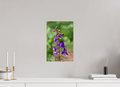 10 x 15″, Fine Art Print Spring In Bloom
