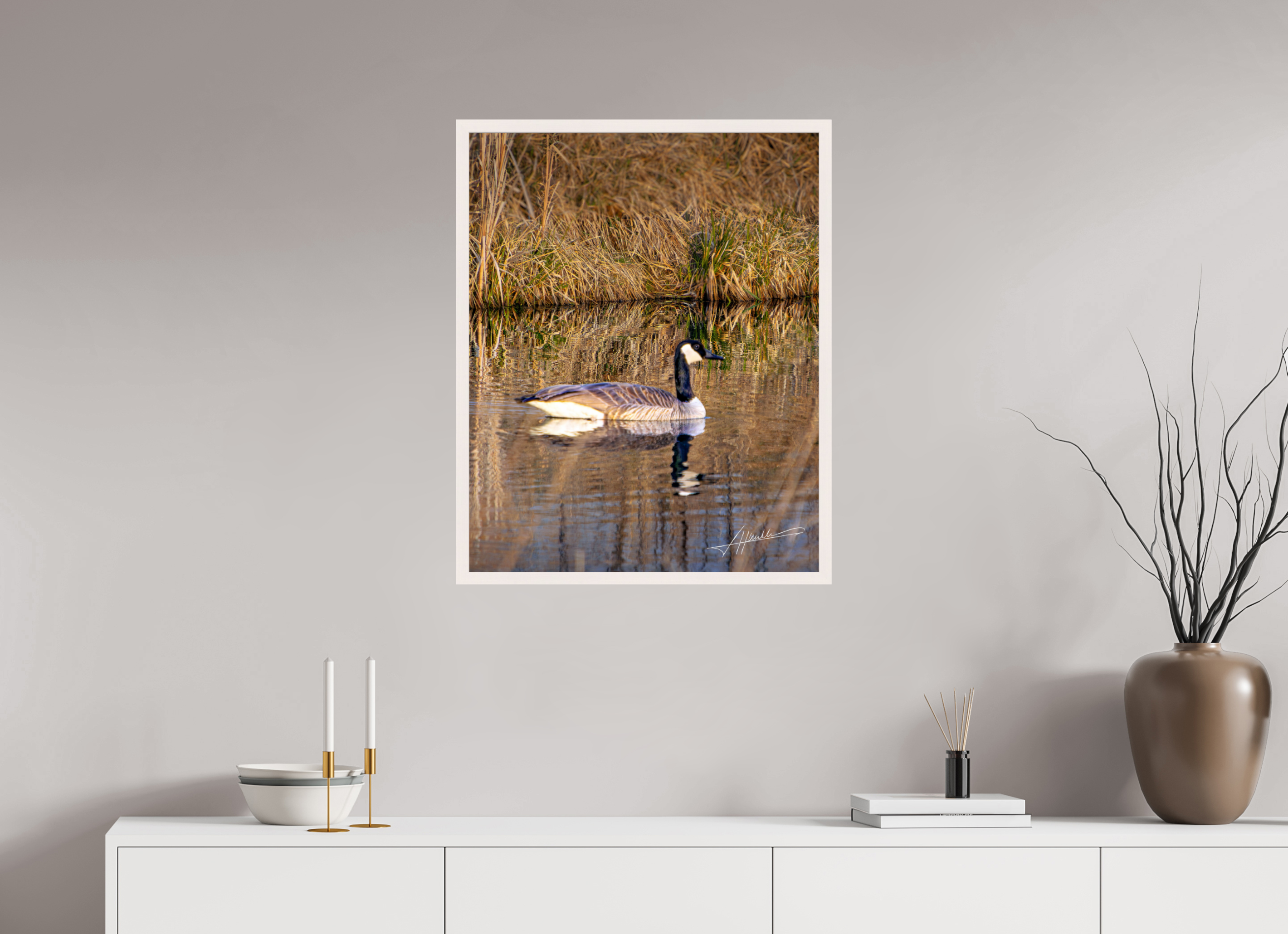 24 x 30″, Gallery Frame A Swimming Reflection