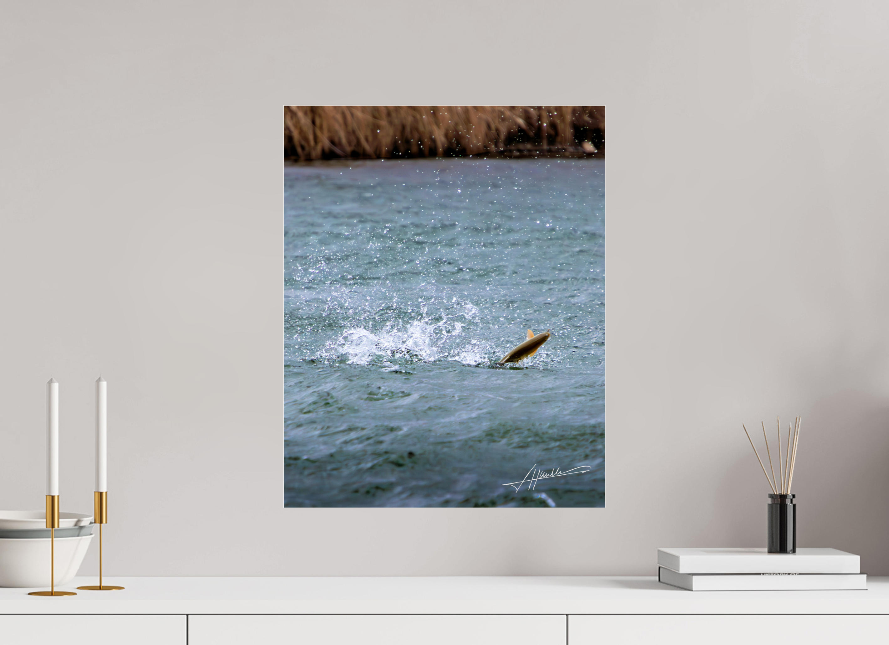 16 x 20″, Photo Print Under Acrylic Glass Jumping Rainbow Trout