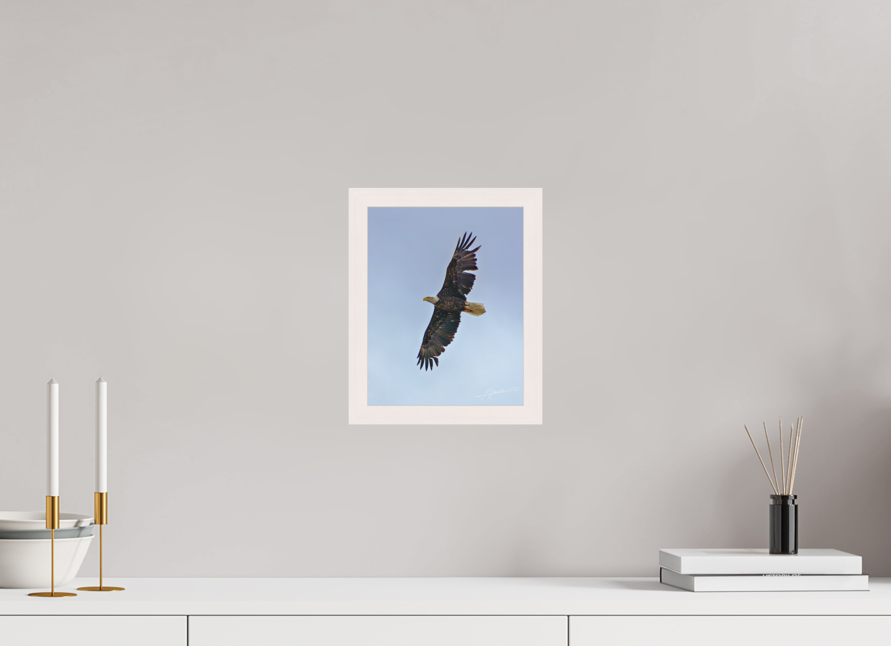 8 x 10″, Shadow Box Frame Wings Spread
