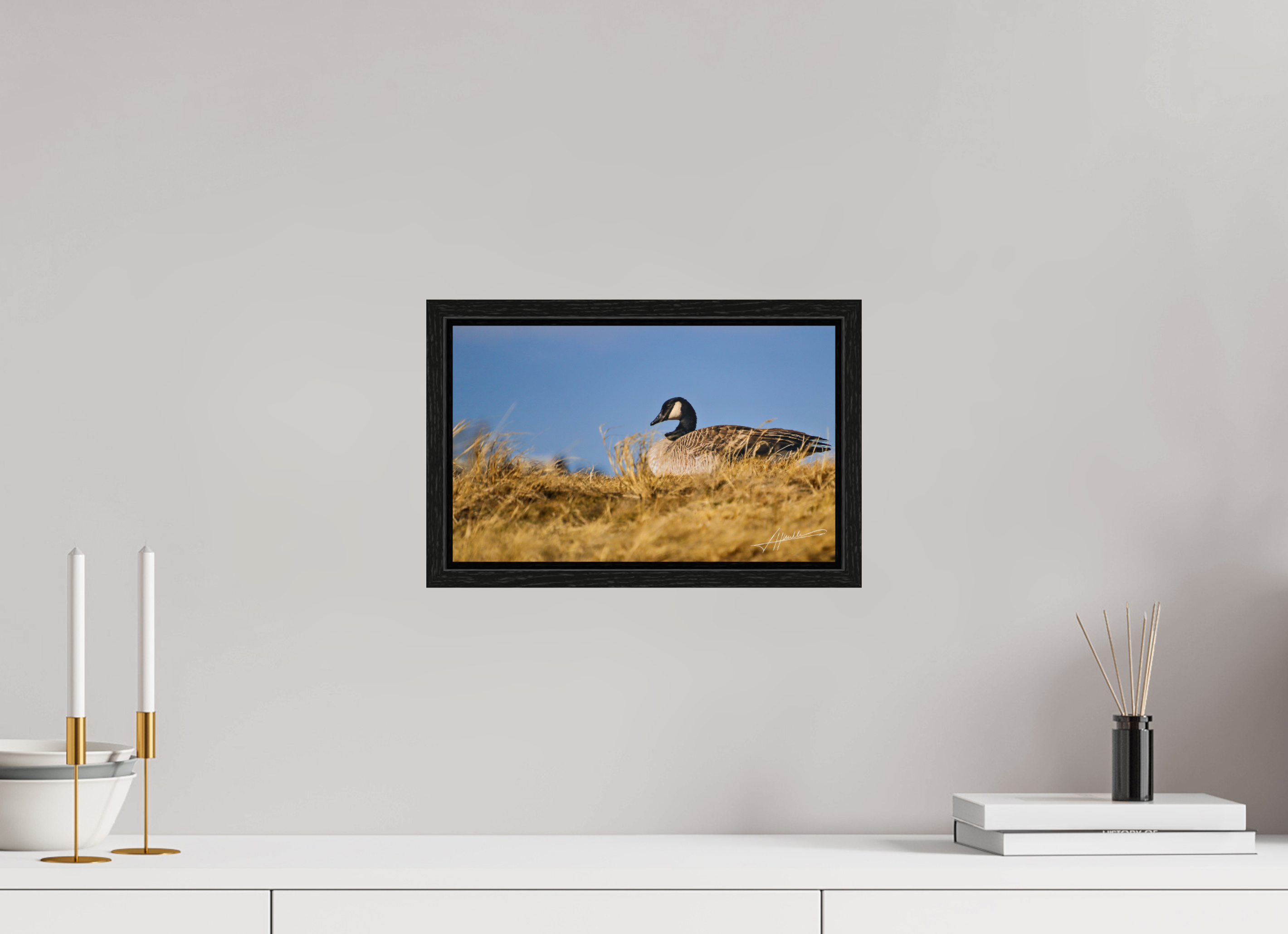 13 x 8″, Floater Frame The Nesting Goose