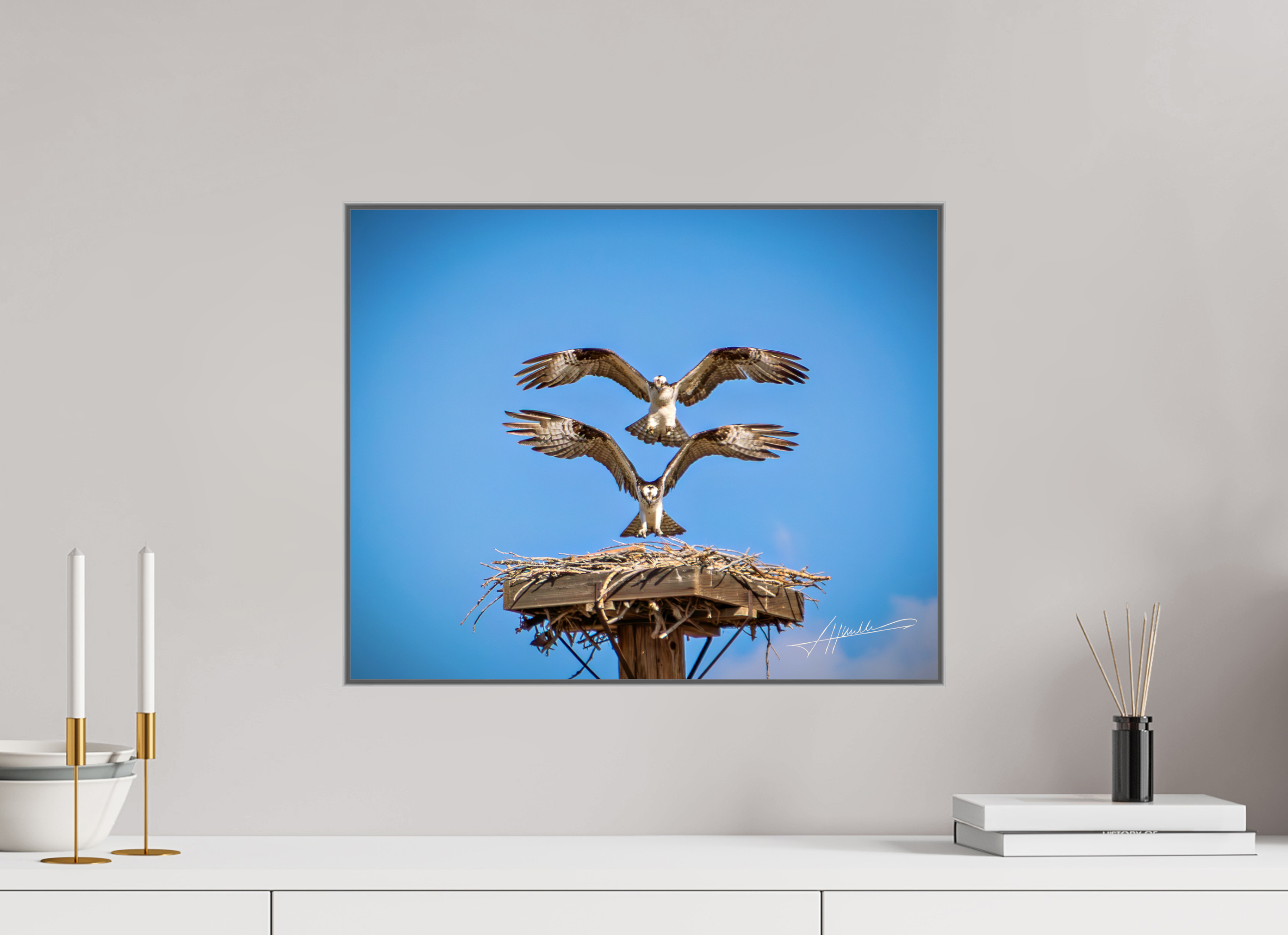 20 x 16″, Aluminum ArtBox Two Osprey Landing