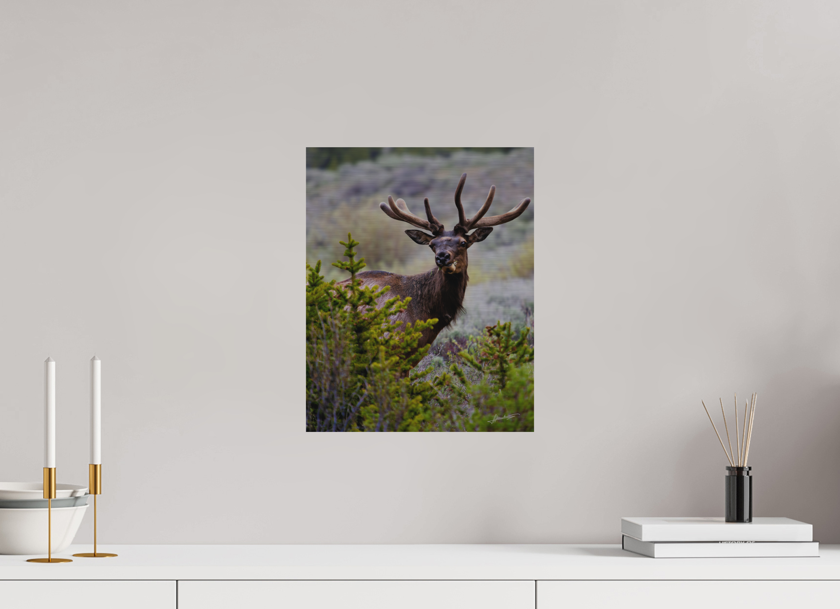 12 x 15″, Direct Brushed Aluminum Velvet Bull