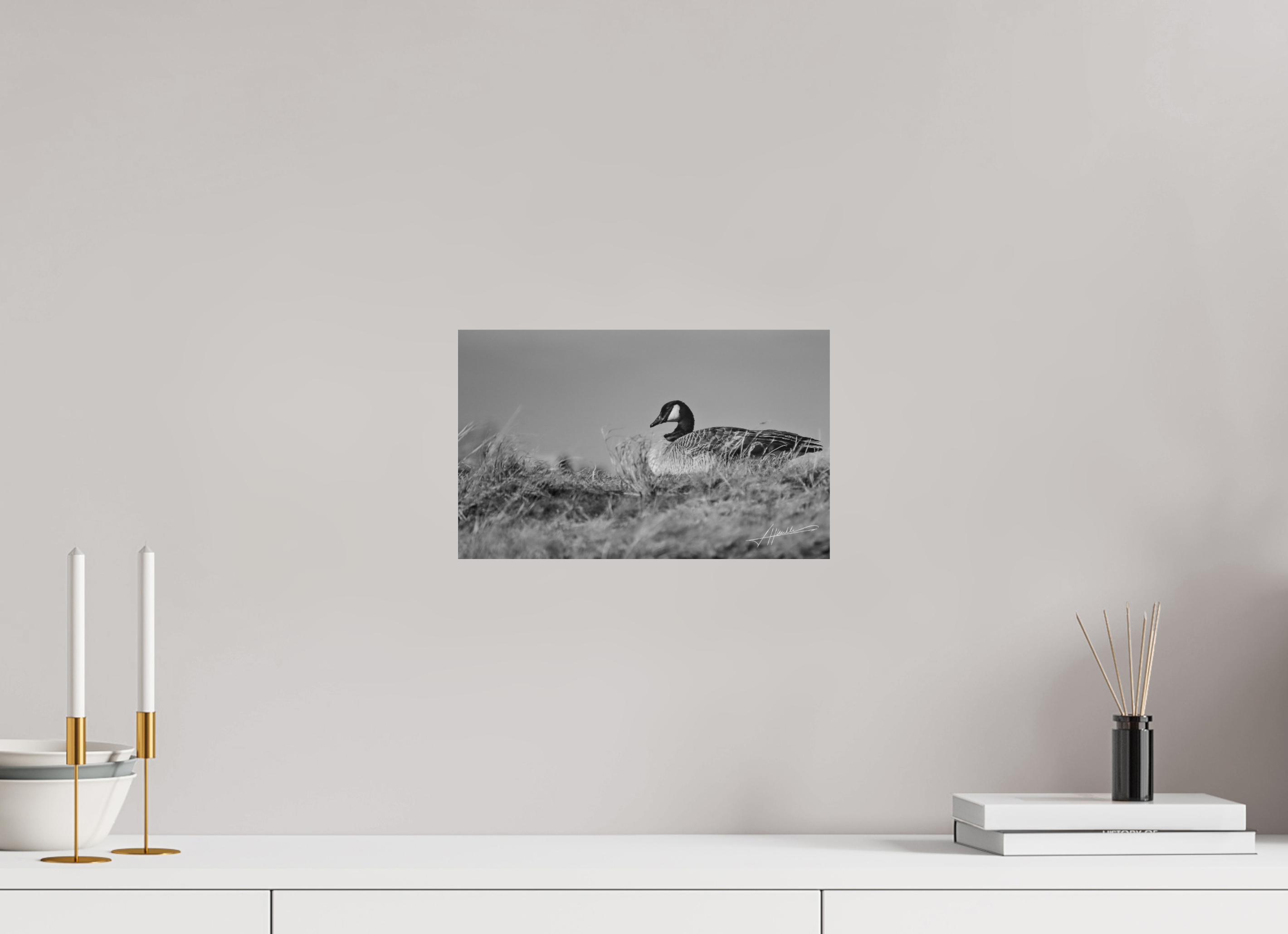 13 x 8″, Photo Print On Ilford Baryta Paper The Nesting Goose