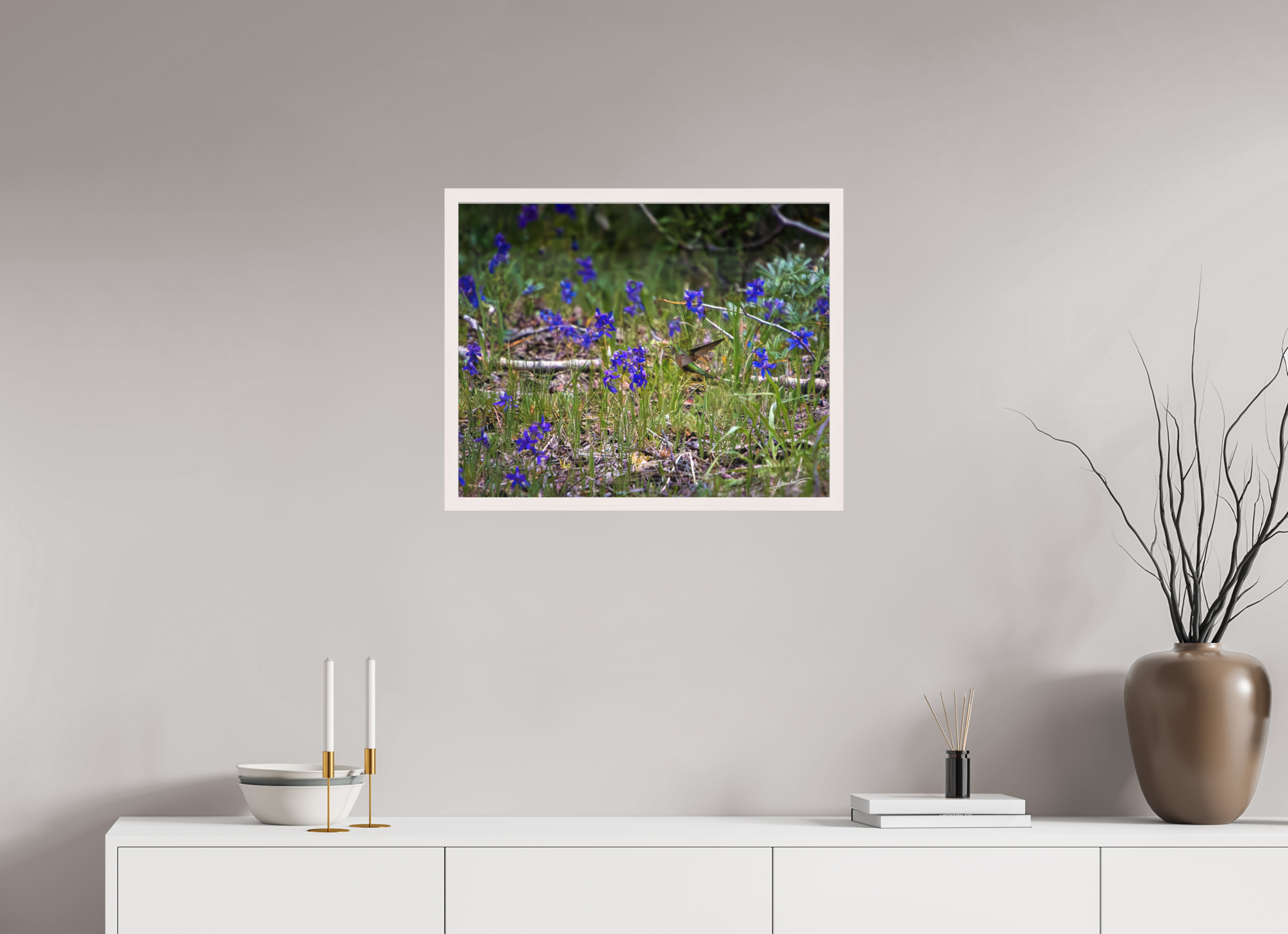 25 x 20″, Shadow Box Frame Feeding Hummingbird