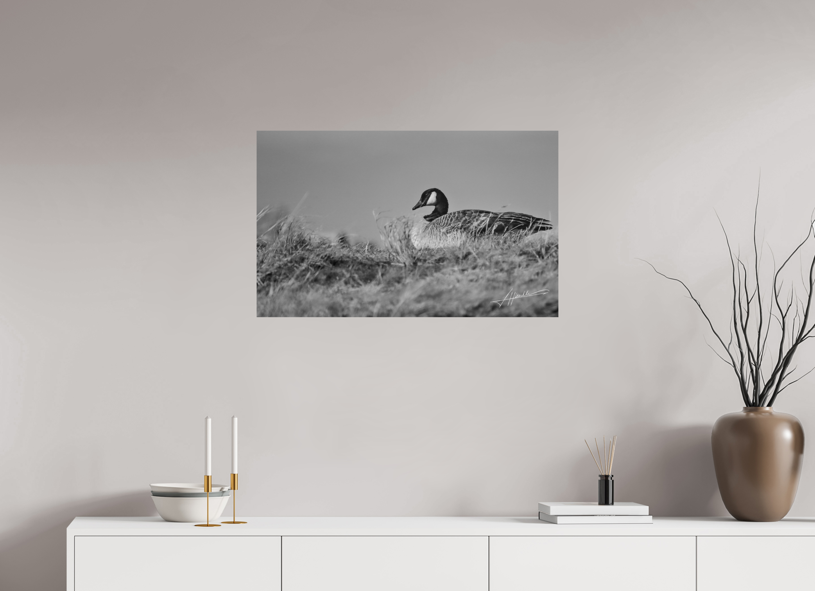 32.4 x 20″, Photo Print On Ilford Baryta Paper The Nesting Goose