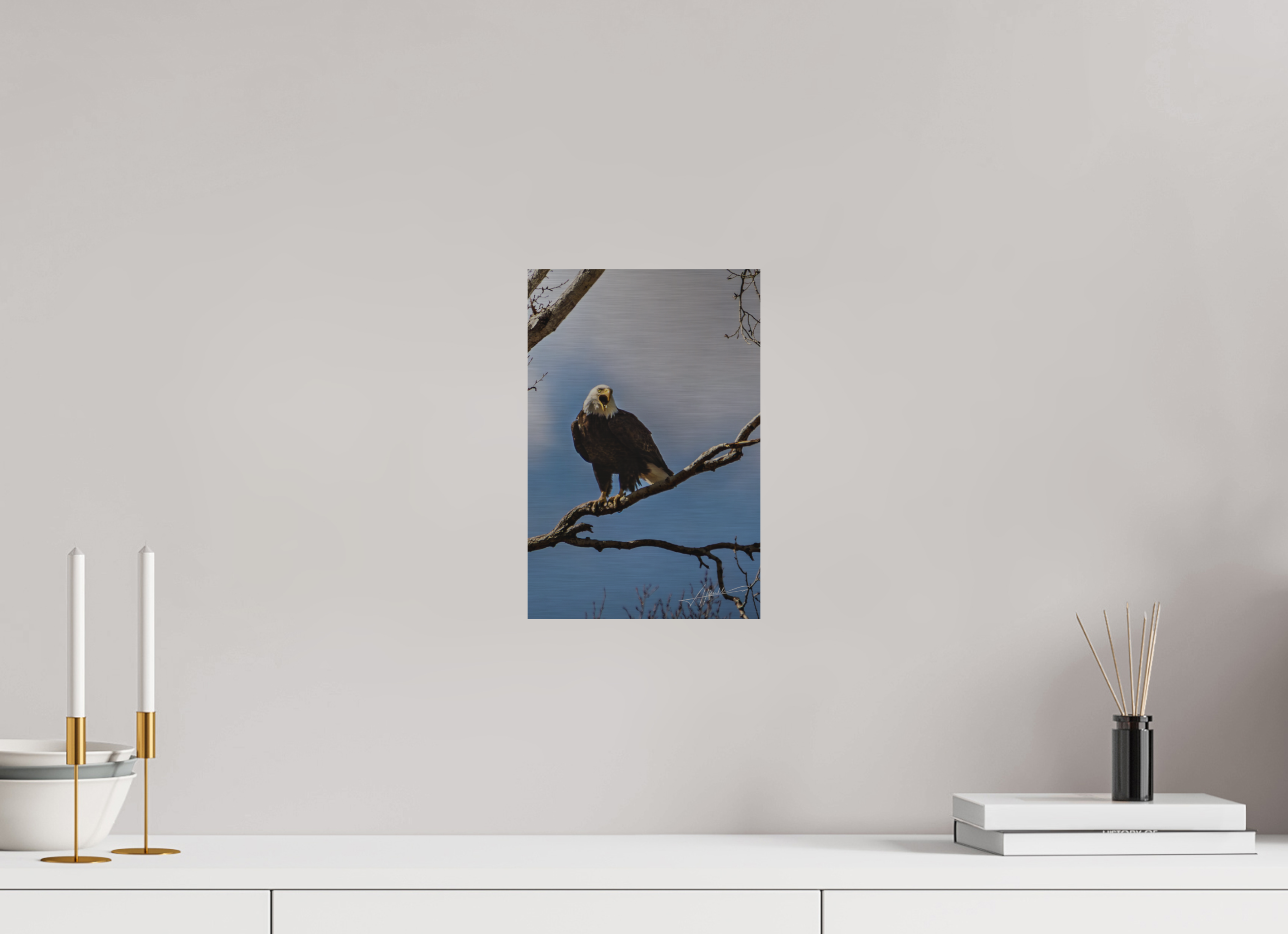 8 x 12″, Direct Brushed Aluminum The Eagle's Call