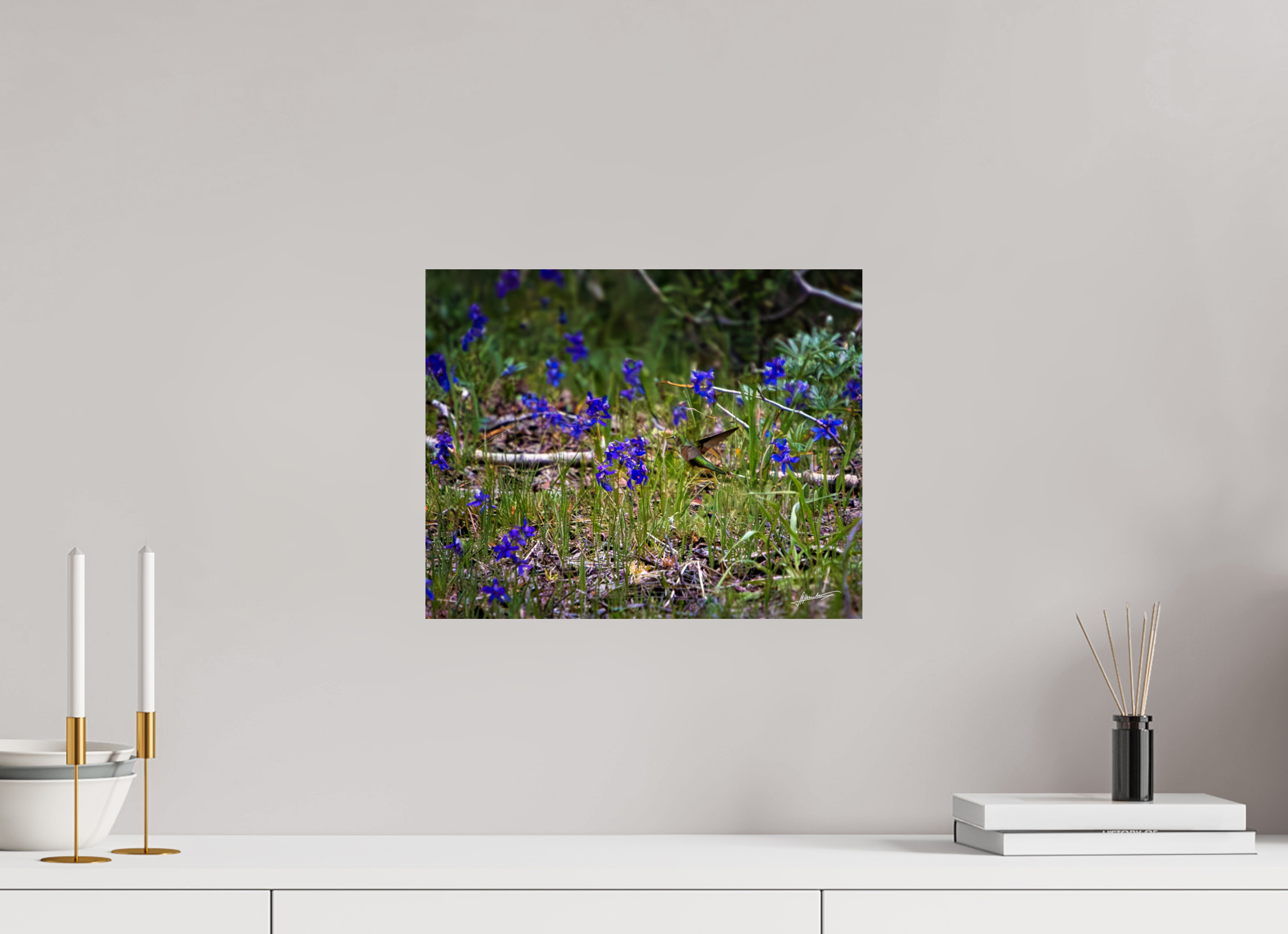 15 x 12″, Fine Art Dibond Feeding Hummingbird