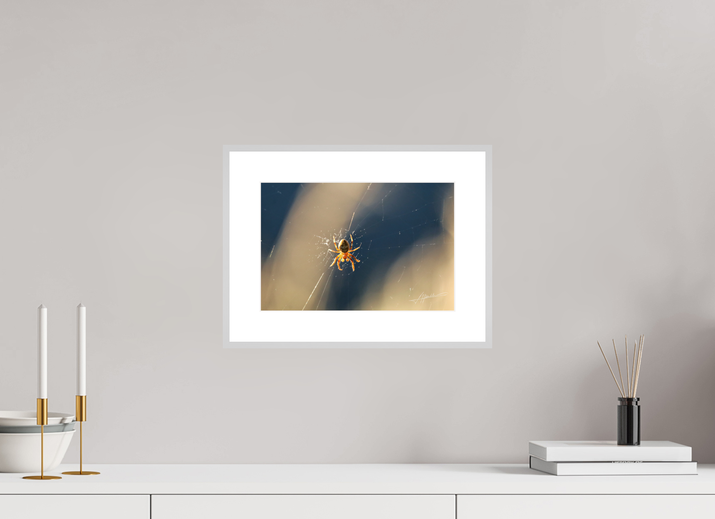 12 x 8″, Changeable Magnetic Frame Tattered Web