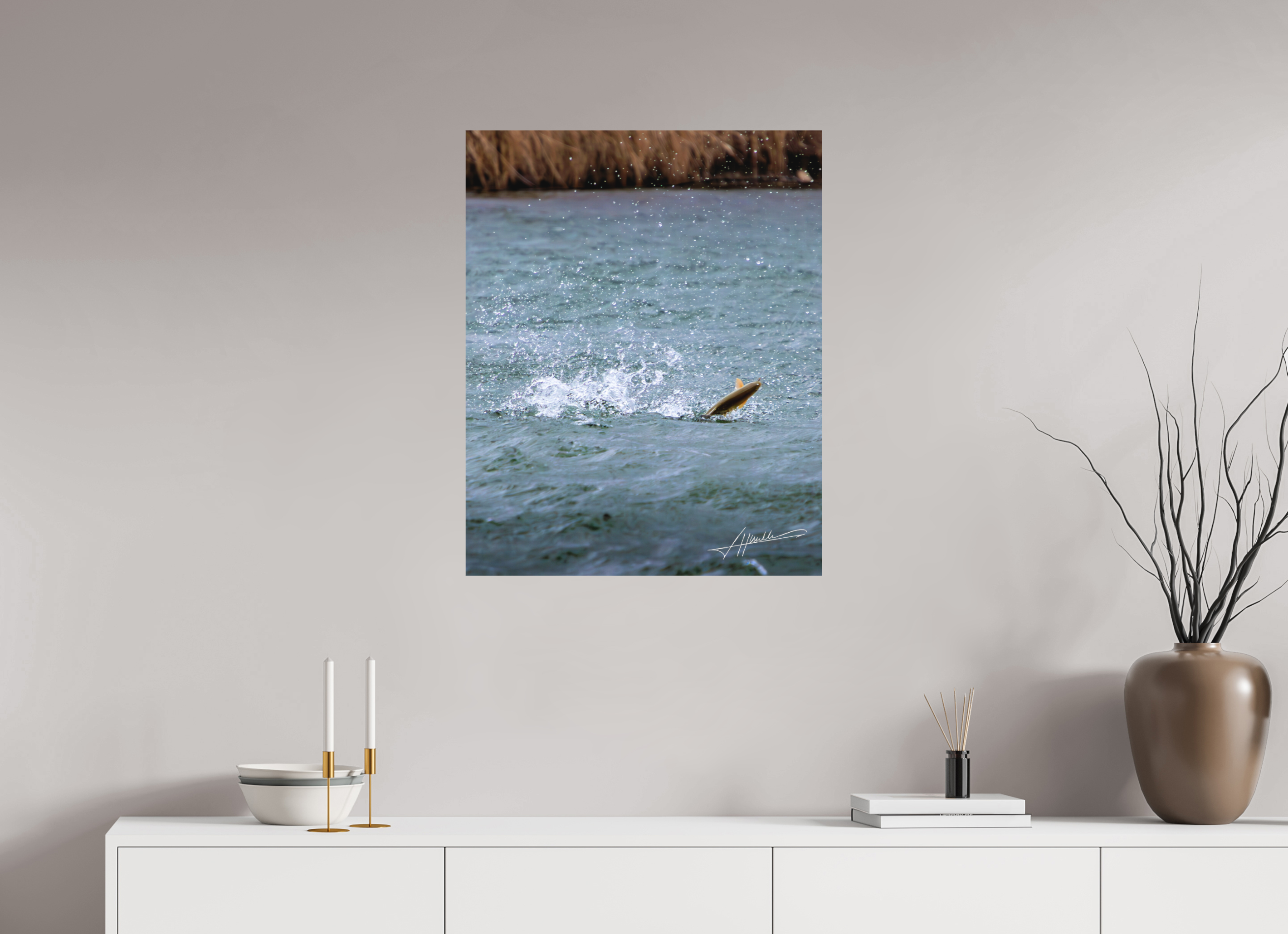 24 x 30″, Metal Dibond Jumping Rainbow Trout