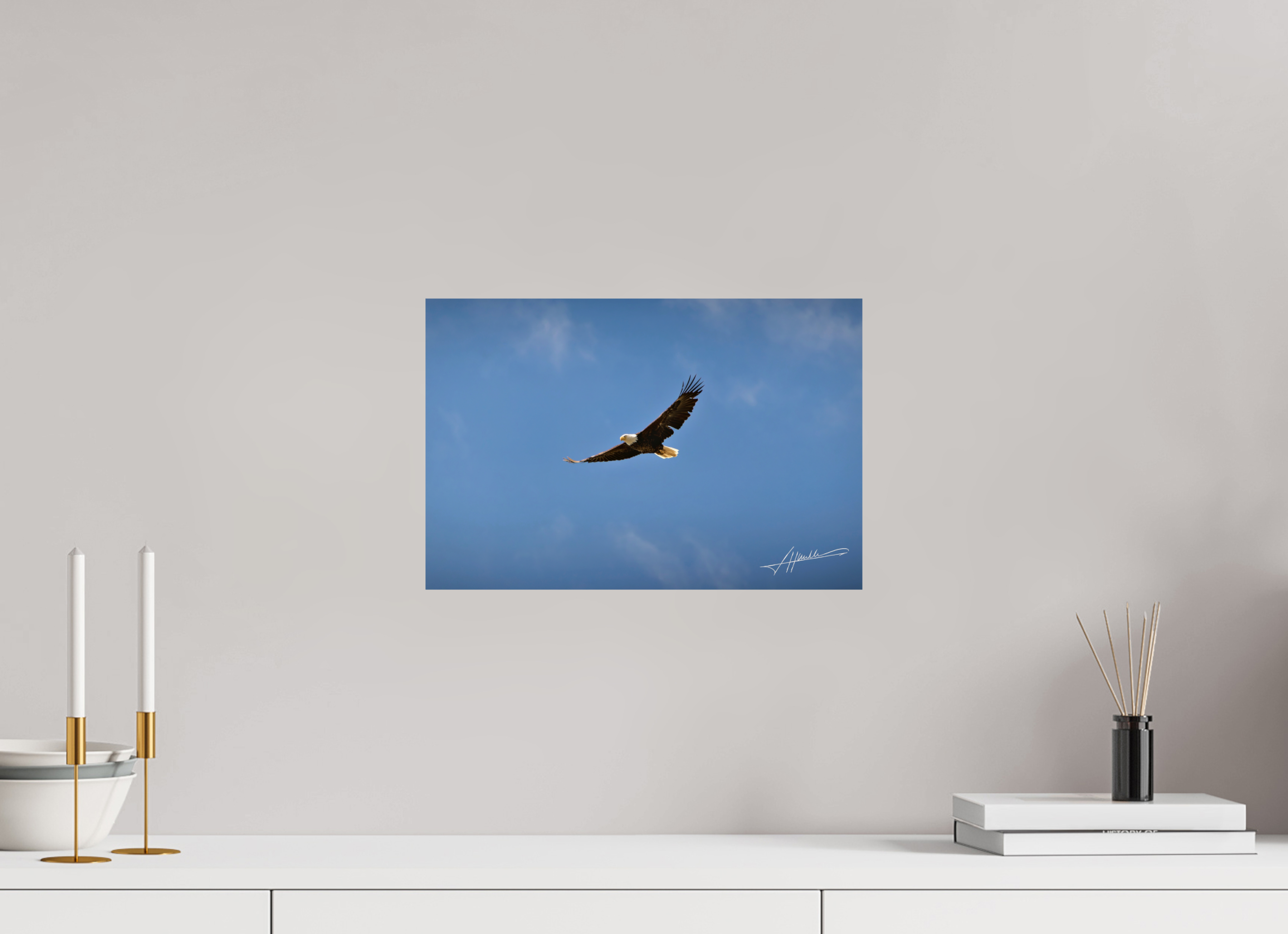 15 x 10″, Fine Art Dibond Soaring Free
