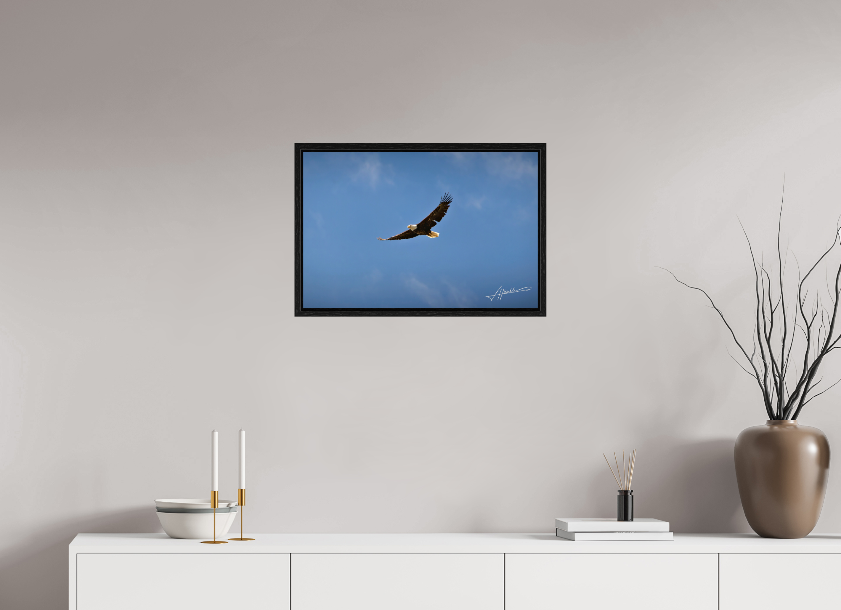 24 x 16″, Floater Frame Soaring Free