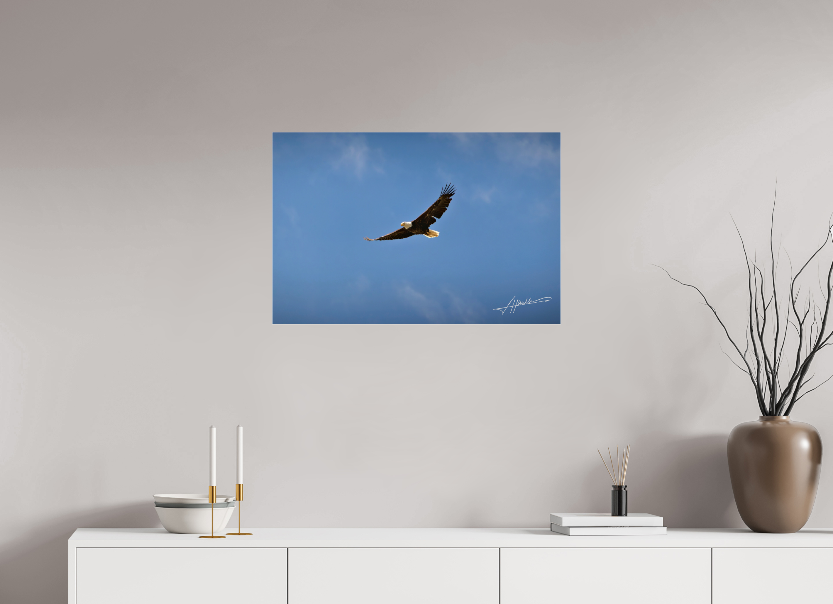 30 x 20″, Photo Print Under Acrylic Glass Soaring Free