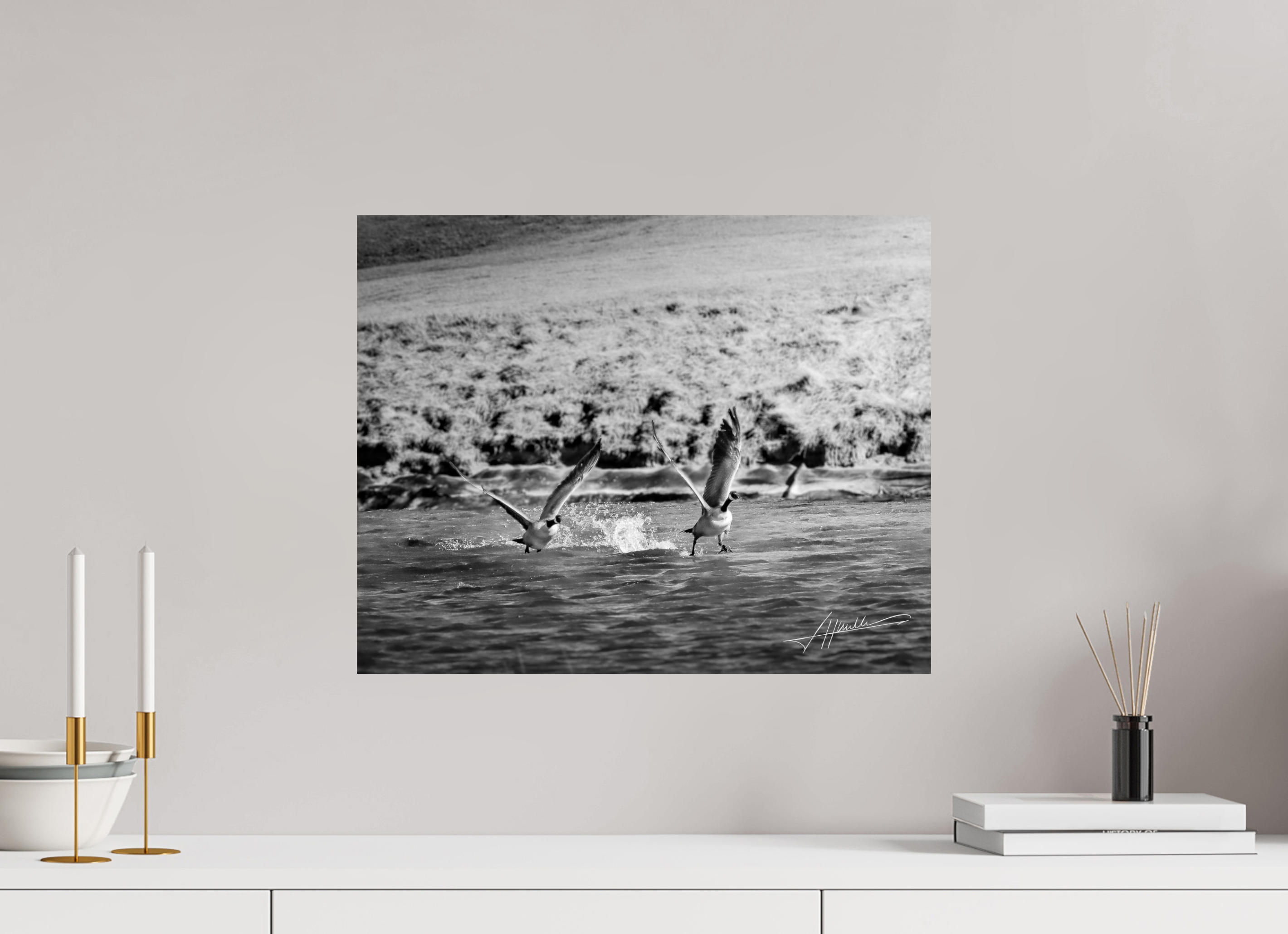 20 x 16″, Photo Print On Ilford Baryta Paper Geese Taking Flight