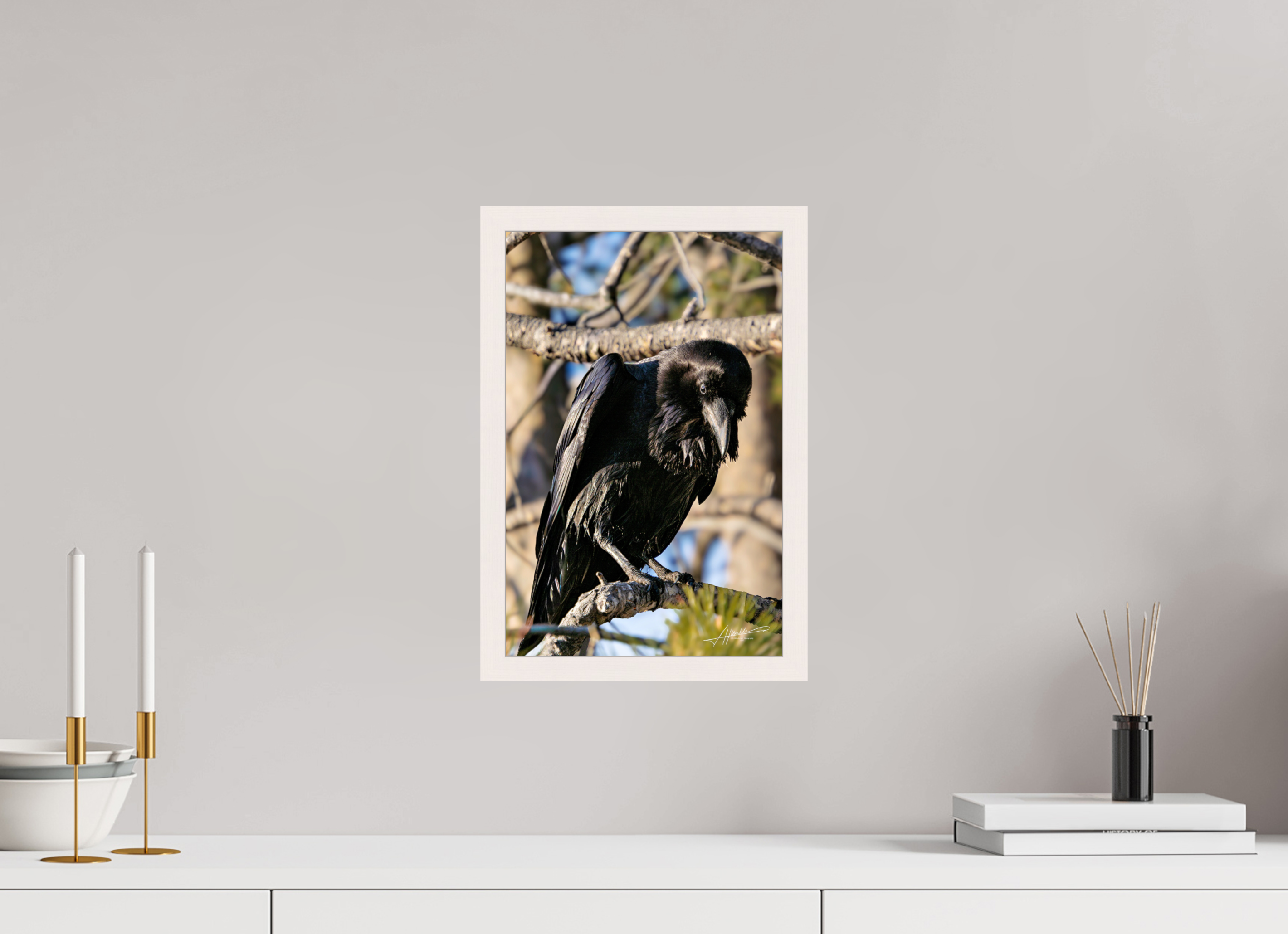 10 x 15″, Gallery Frame Morning Raven