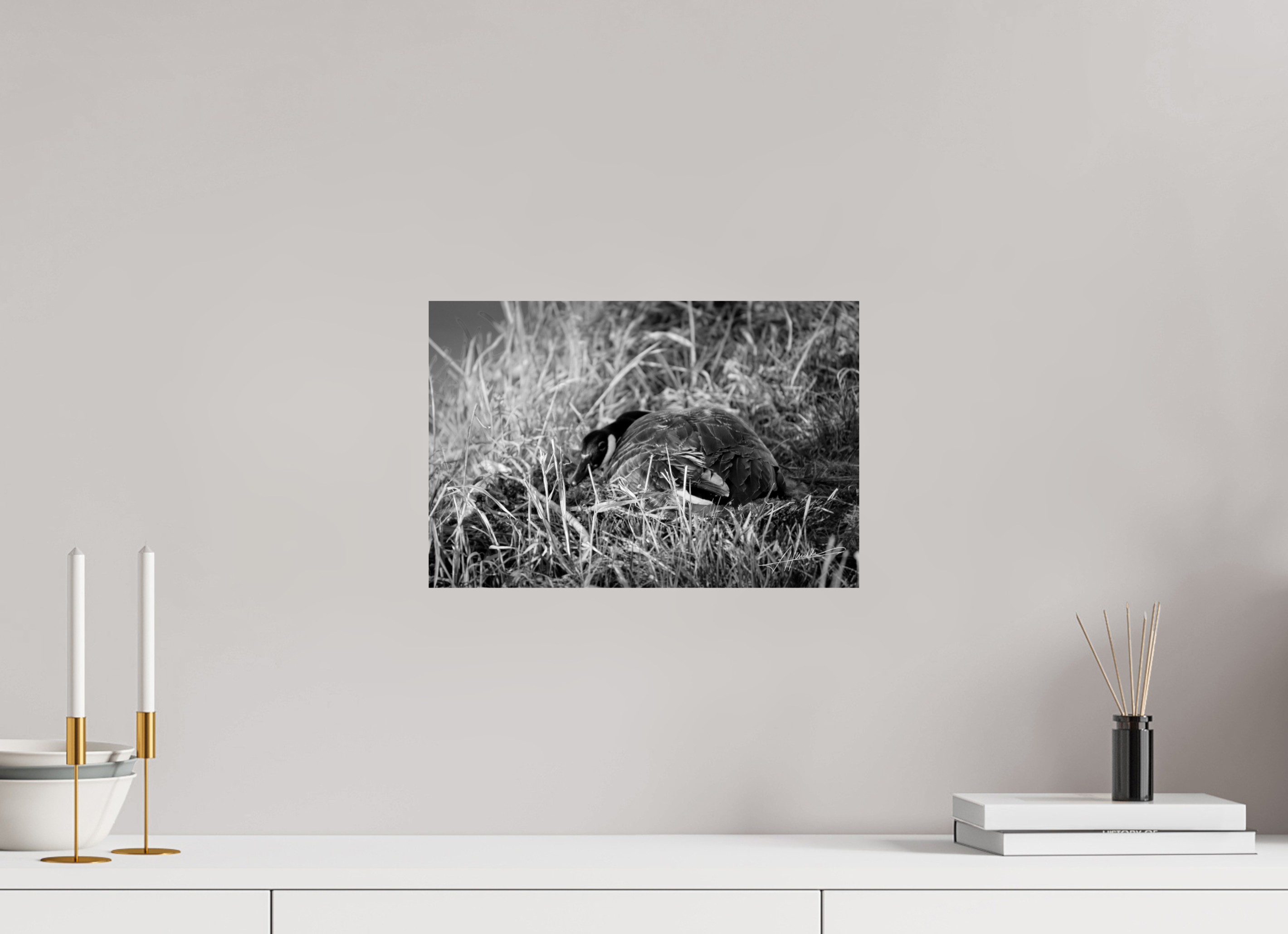 15 x 10″, Photo Print On Ilford Baryta Paper New Nester