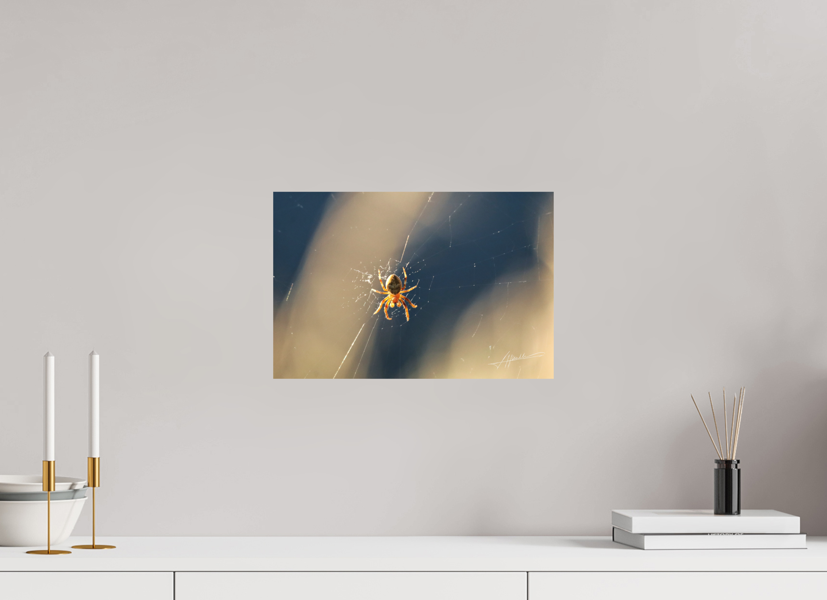 15 x 10″, Metal Dibond Tattered Web