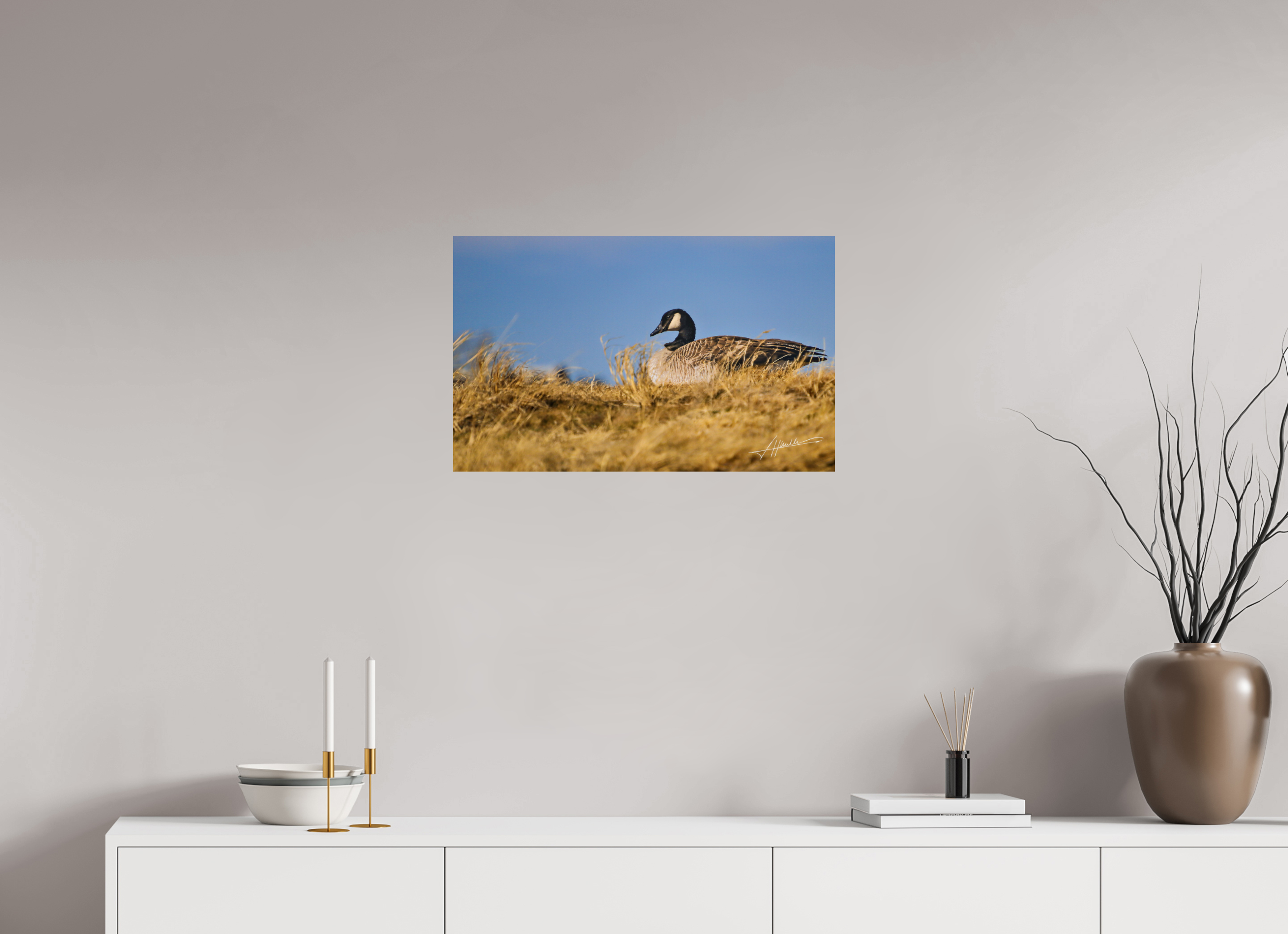 25.9 x 16″, Metallic Photo Print On Fuji Crystal Pearl The Nesting Goose