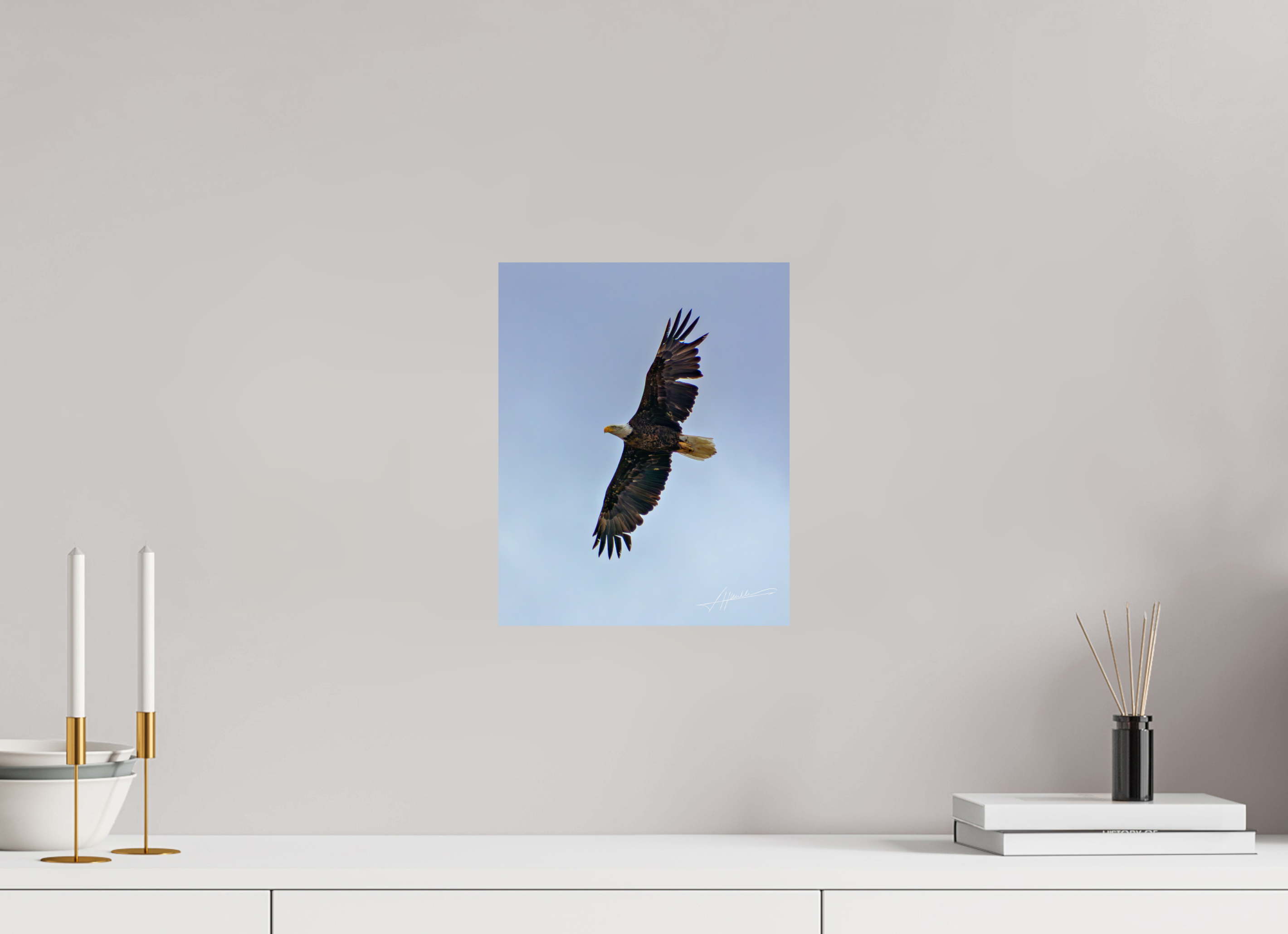 10 x 12.5″, Fine Art Dibond Wings Spread