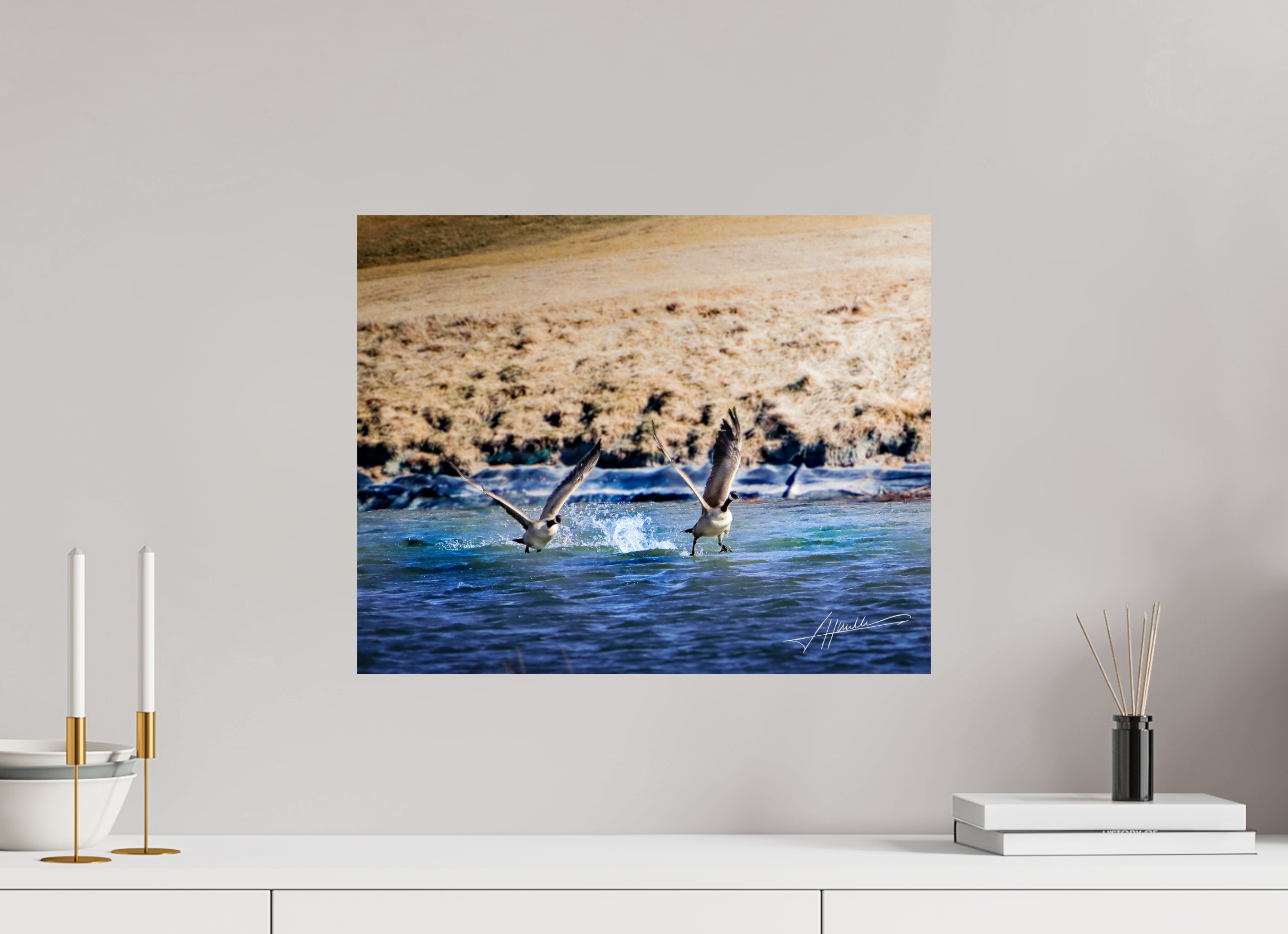 20 x 16″, Photo Print On Fuji Crystal DP II Geese Taking Flight