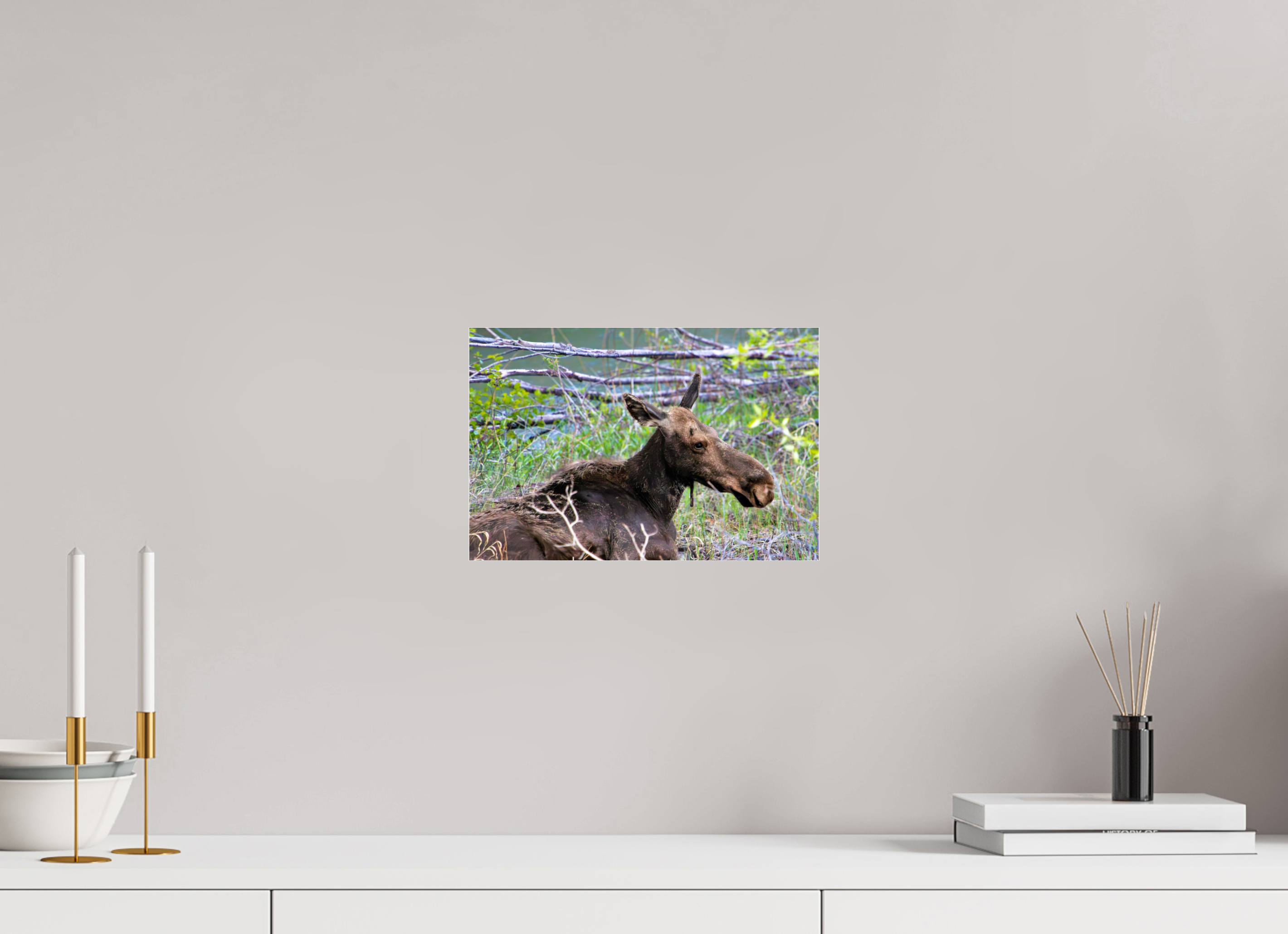 12 x 8″, Metallic Under Acrylic Moose Relaxing