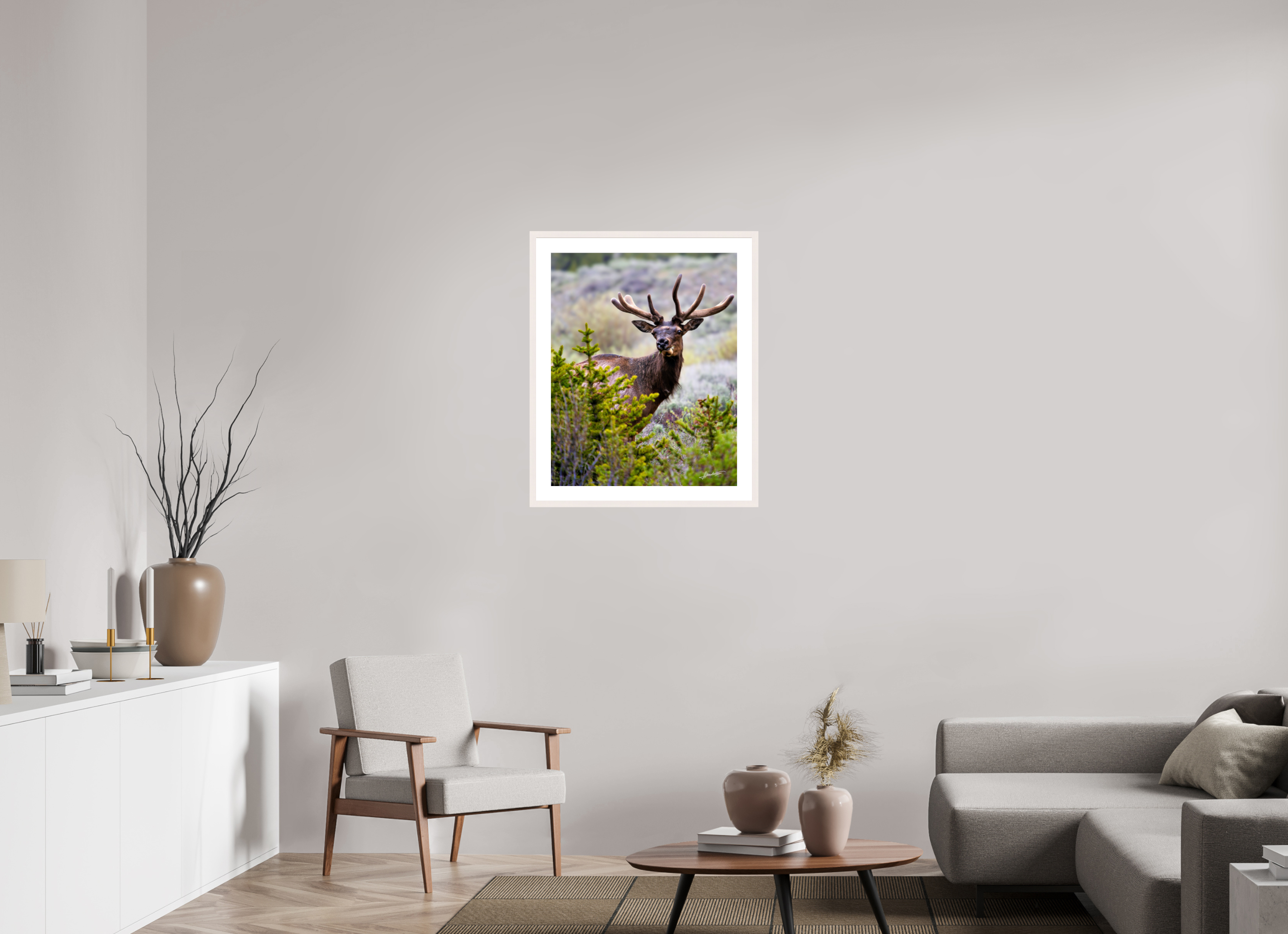 24 x 30″, Solid Wood Frame with Passe-partout Velvet Bull