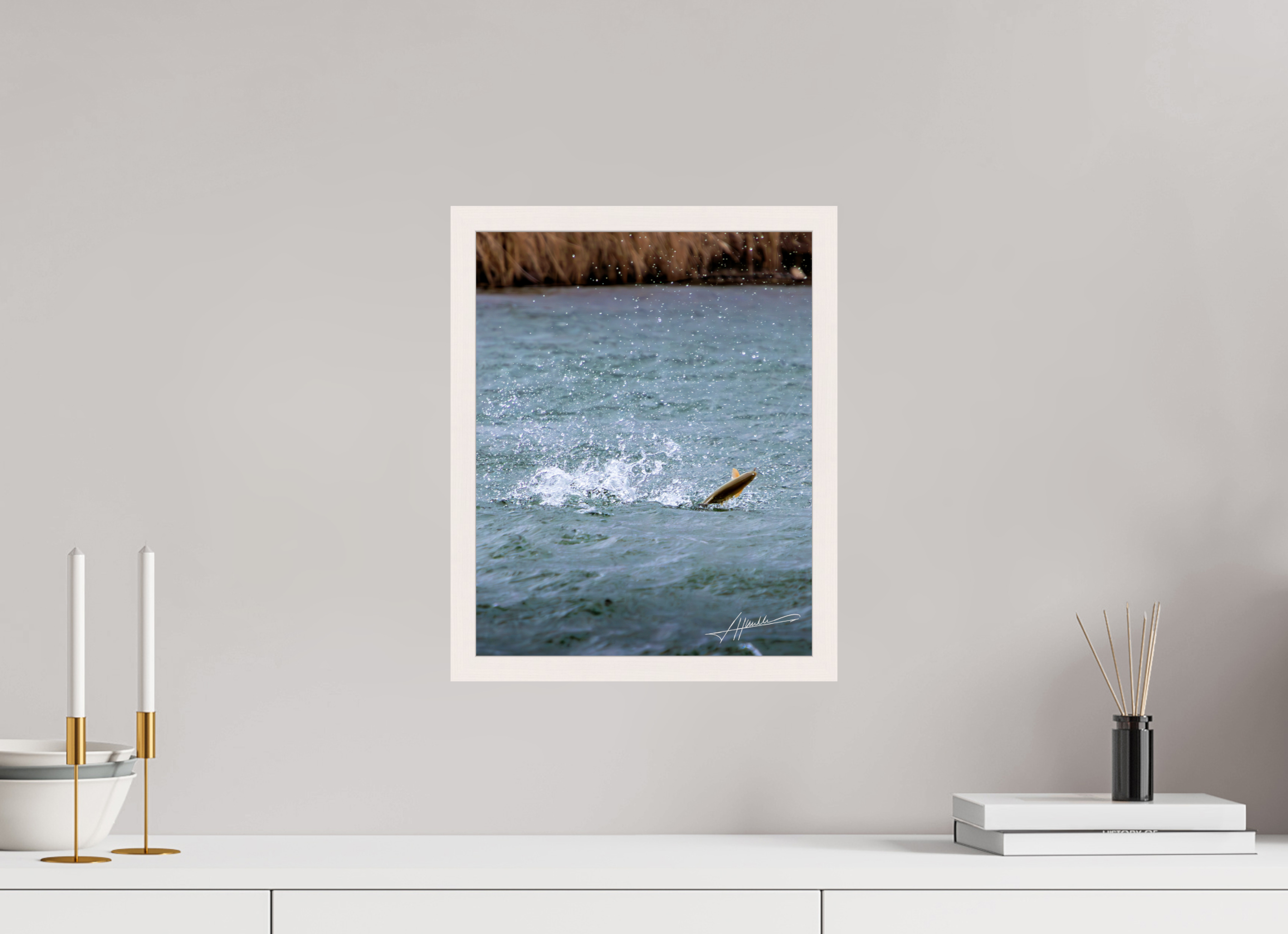 12 x 15″, Gallery Frame Jumping Rainbow Trout