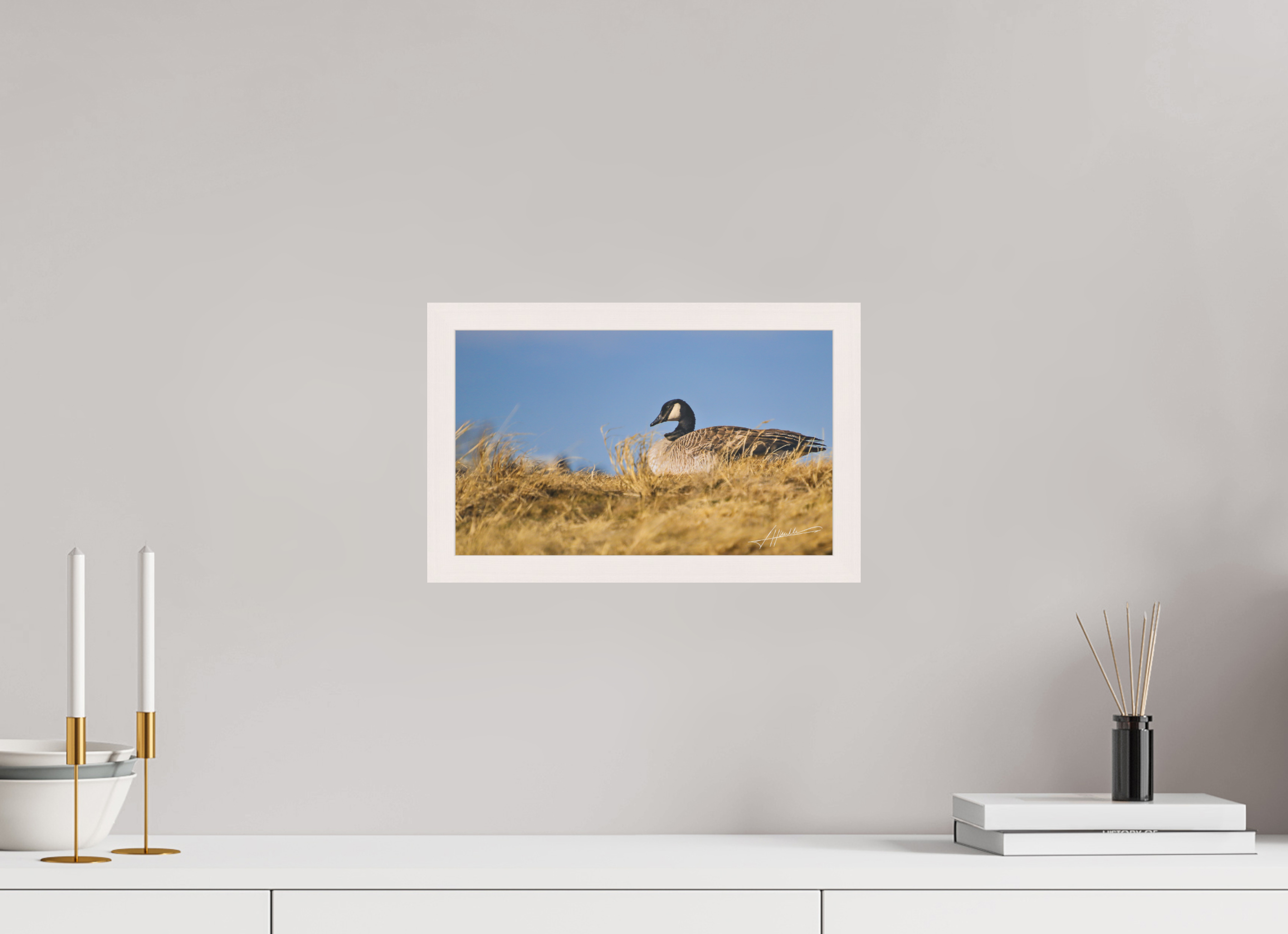 13 x 8″, Shadow Box Frame The Nesting Goose