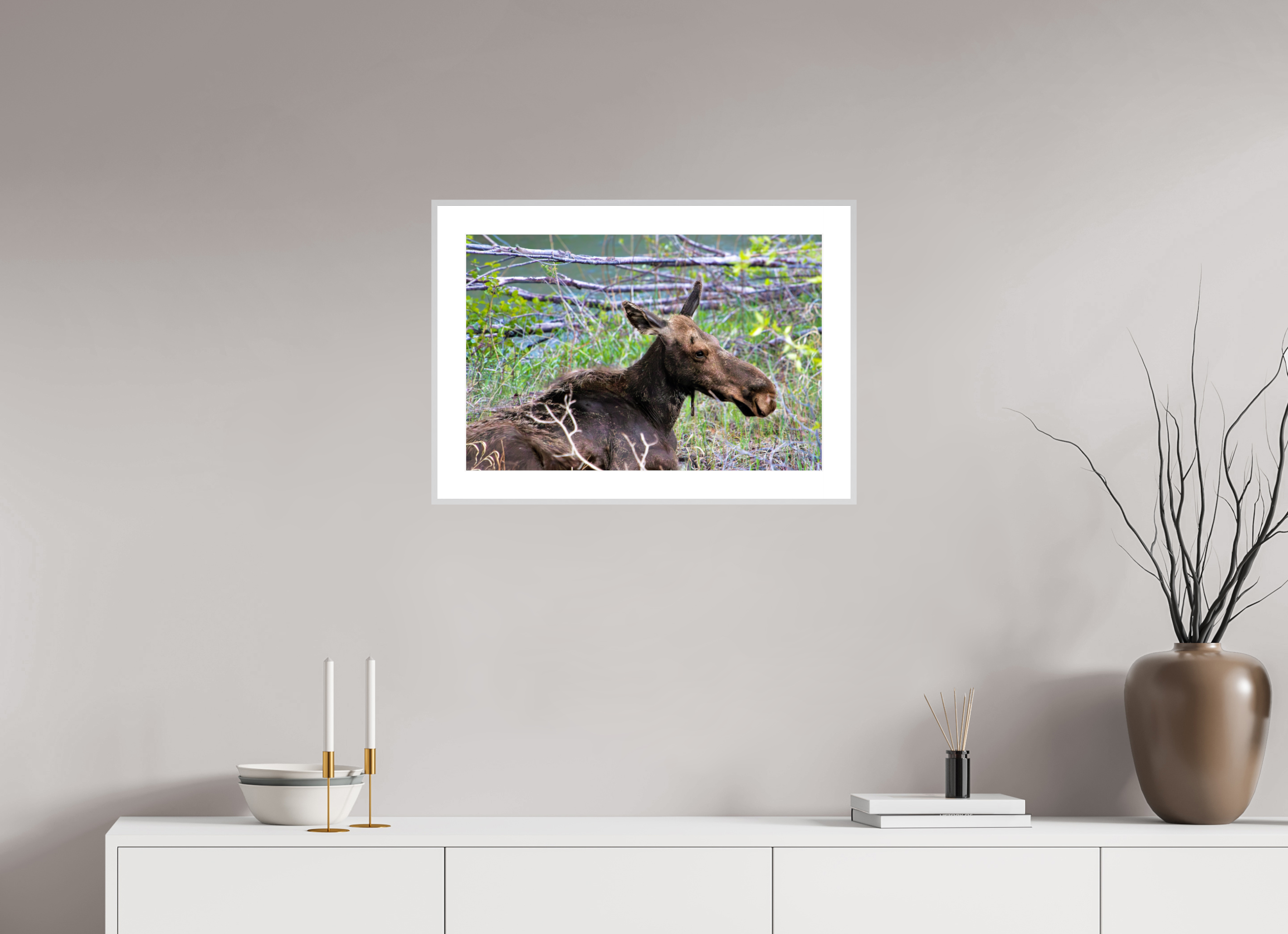 24 x 16″, Changeable Magnetic Frame Moose Relaxing