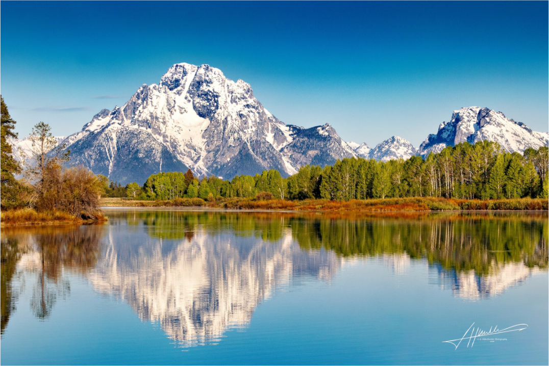 Main image Serene Reflection