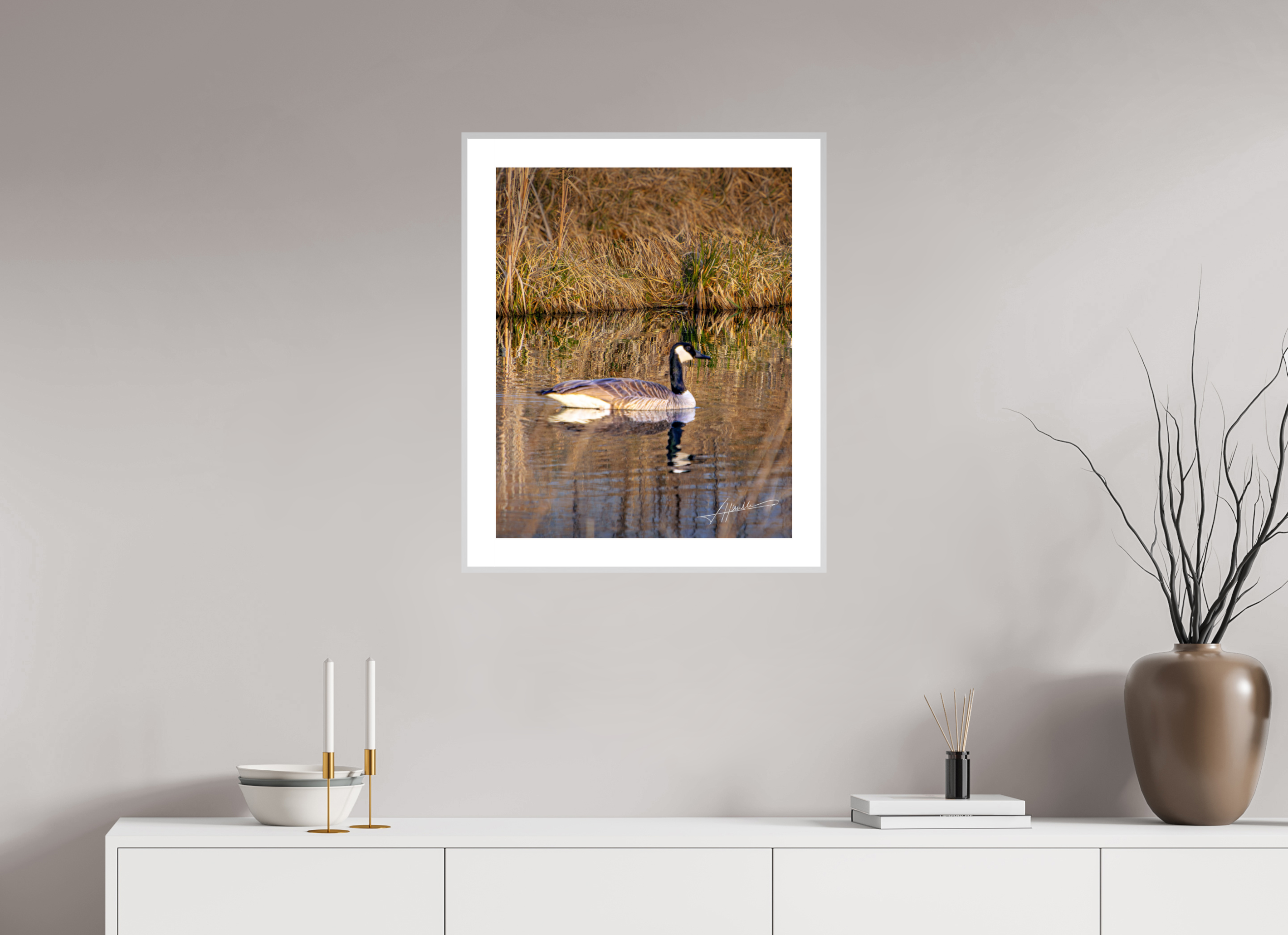 20 x 25″, Changeable Magnetic Frame A Swimming Reflection