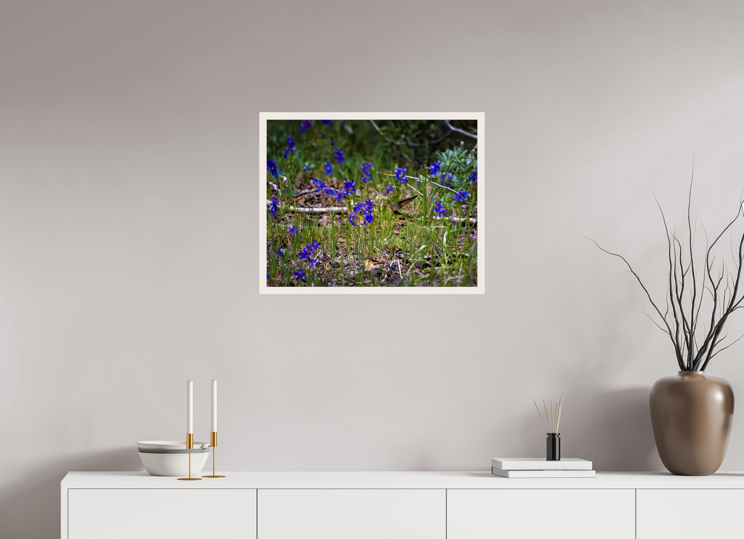 25 x 20″, Gallery Frame Feeding Hummingbird
