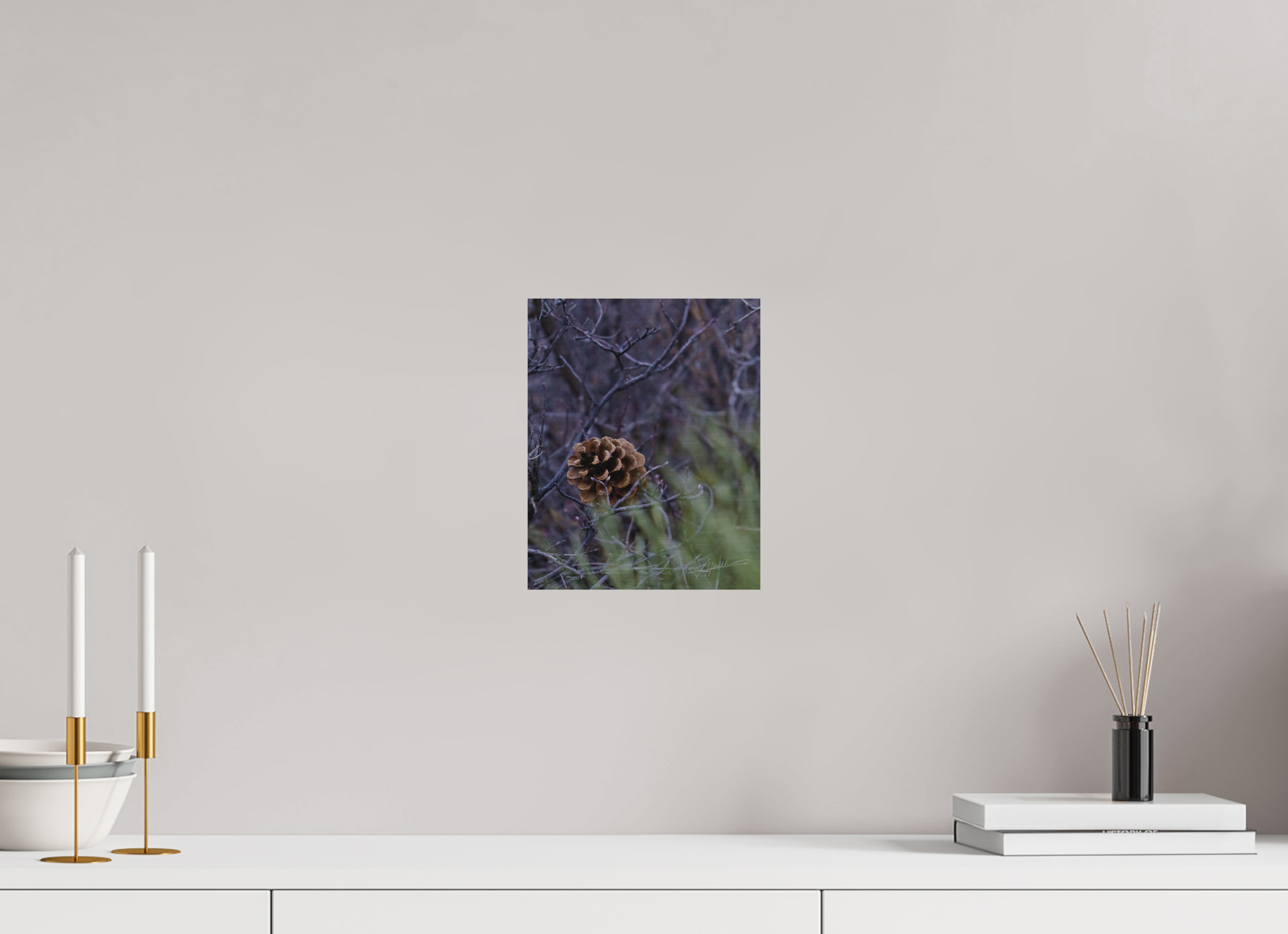 8 x 10″, Direct Brushed Aluminum Mountain Pinecone