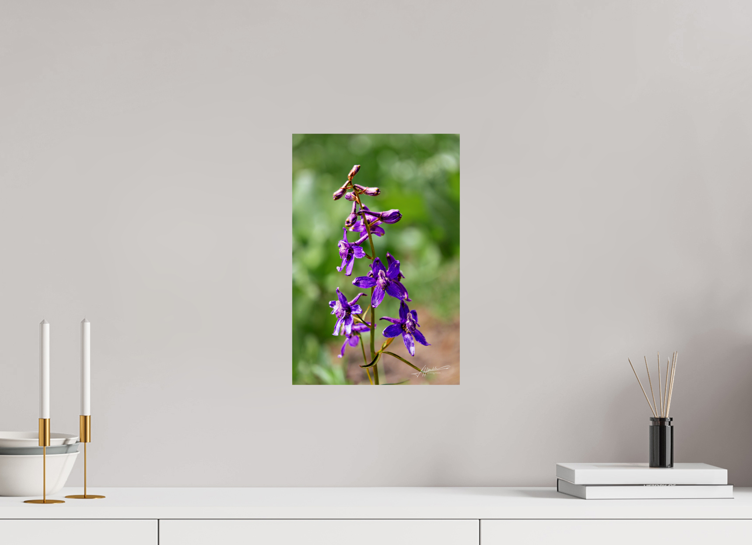 10 x 15″, Photo Print On Fuji Crystal DP II Spring In Bloom