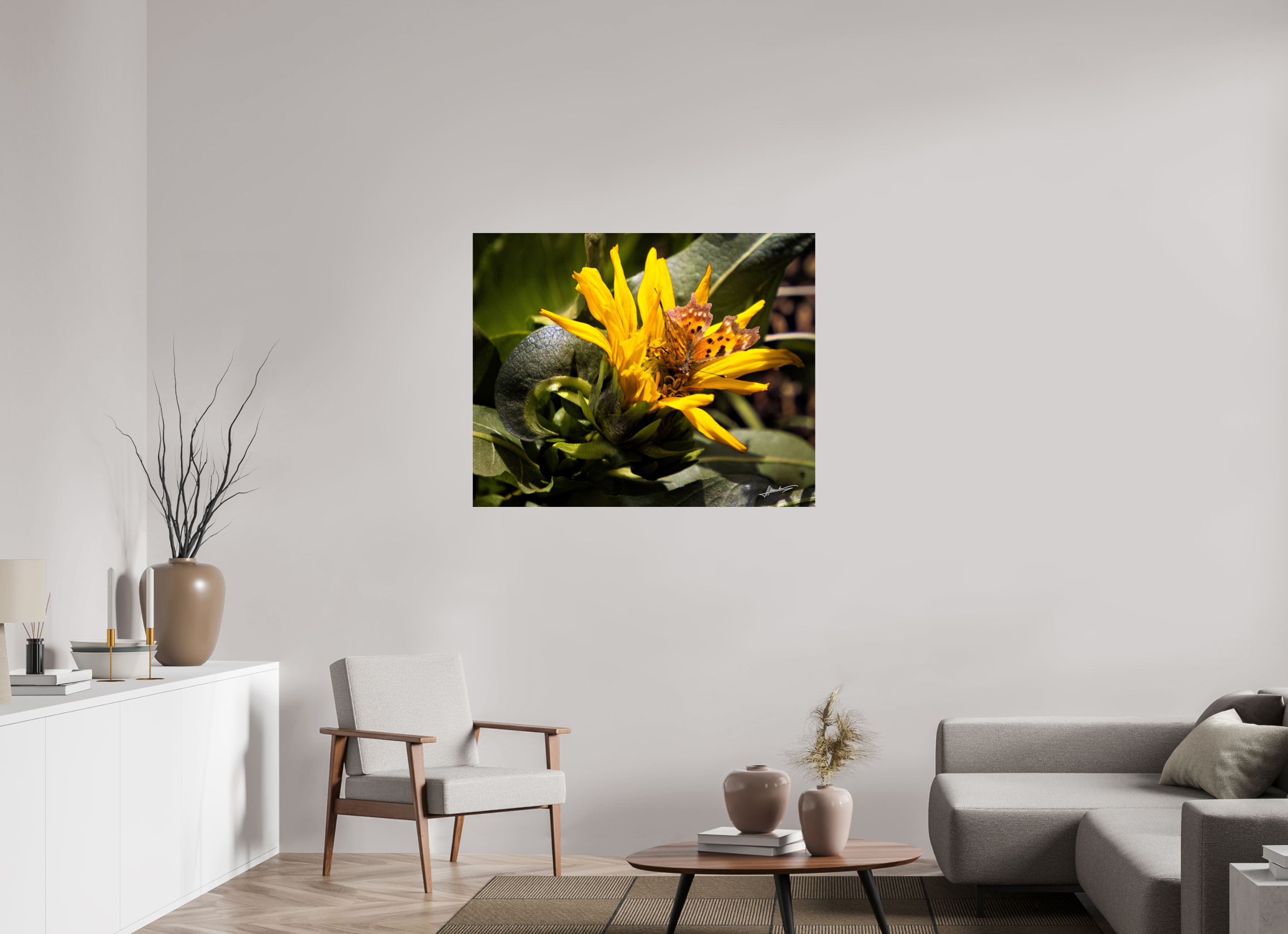 43.7 x 35″, Photo Print On Fuji Crystal DP II Busy Butterfly