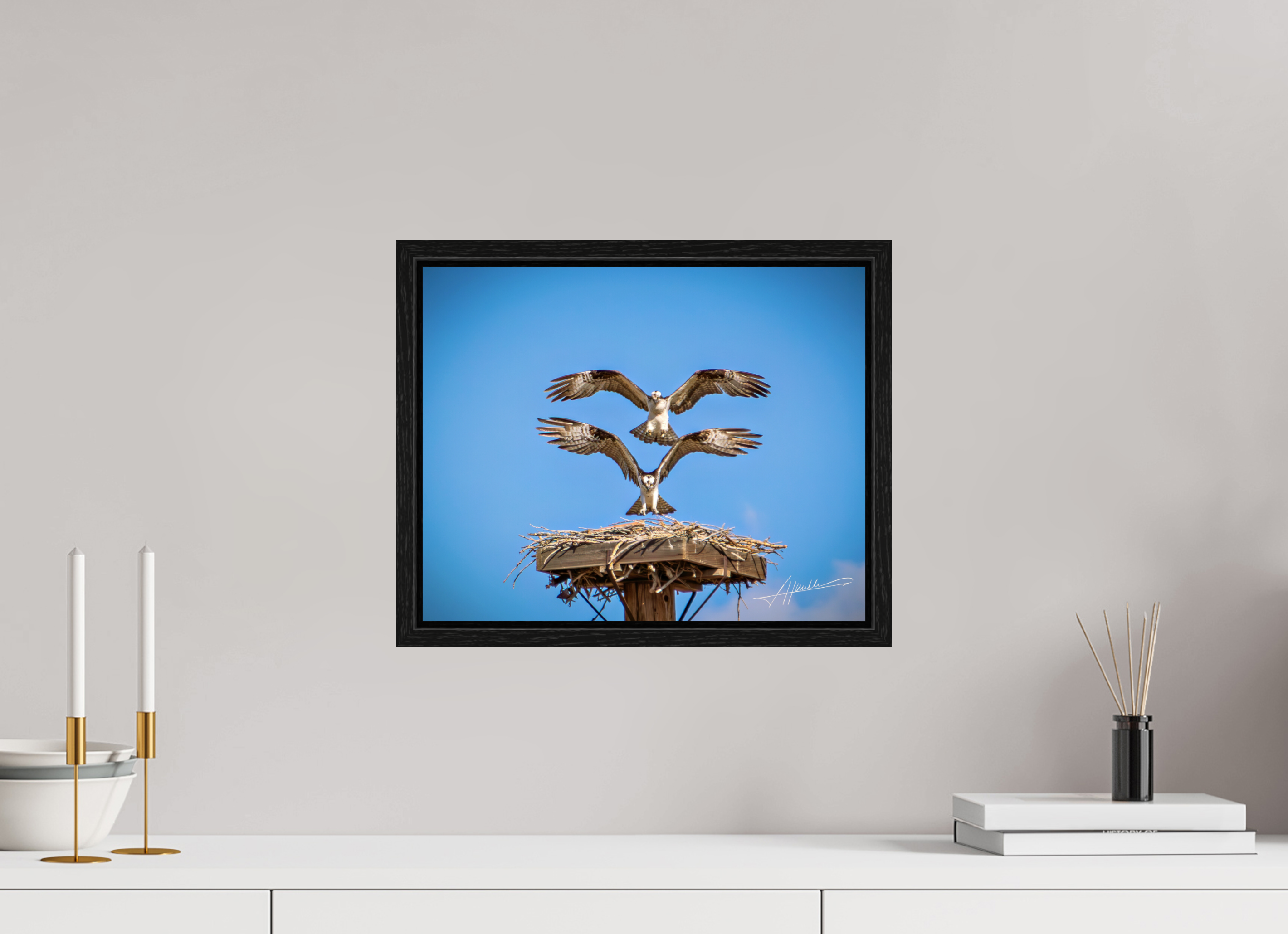 15 x 12″, Floater Frame Two Osprey Landing
