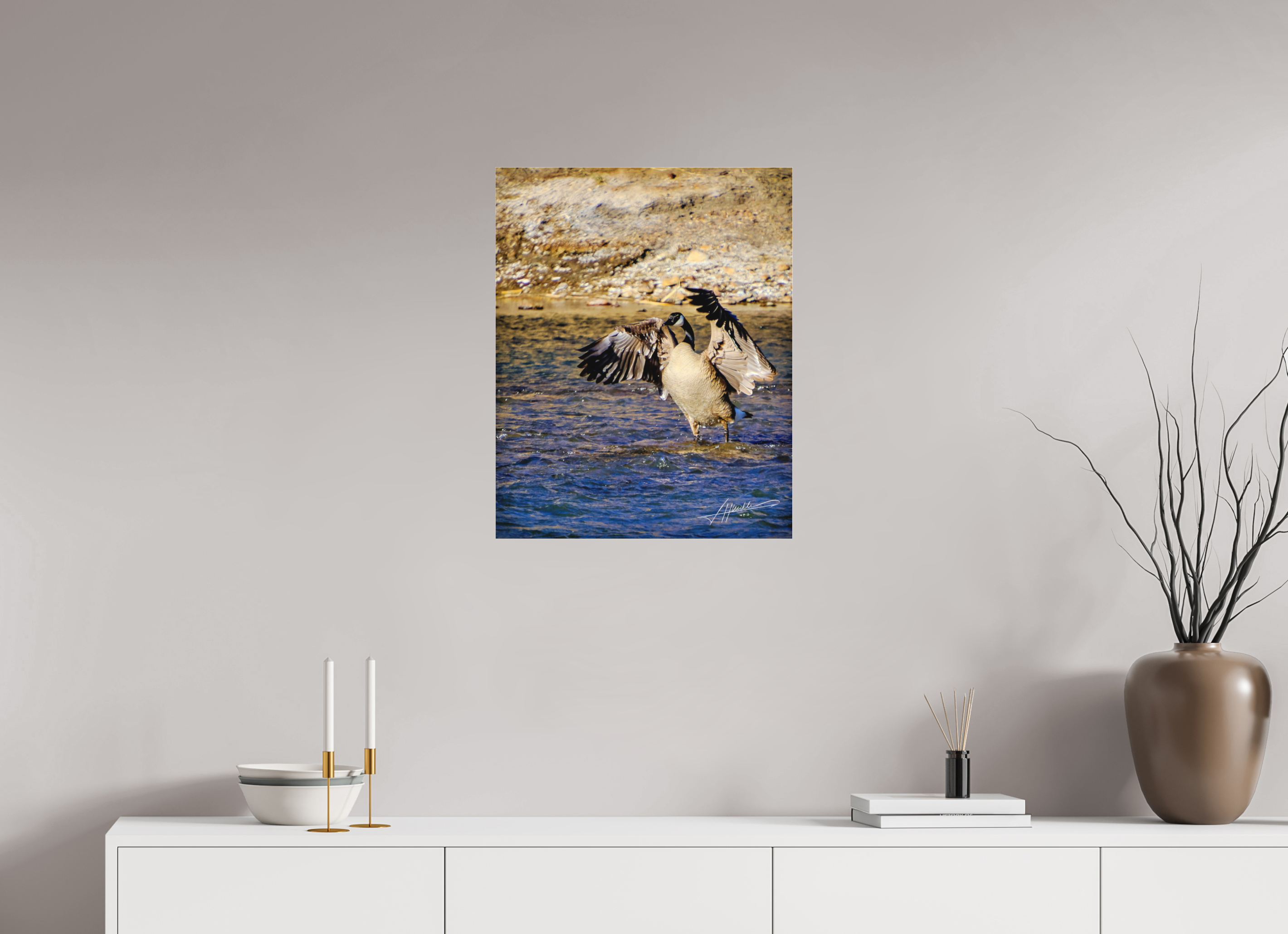 20 x 25″, Fine Pigment Under Acrylic The Bathing Goose