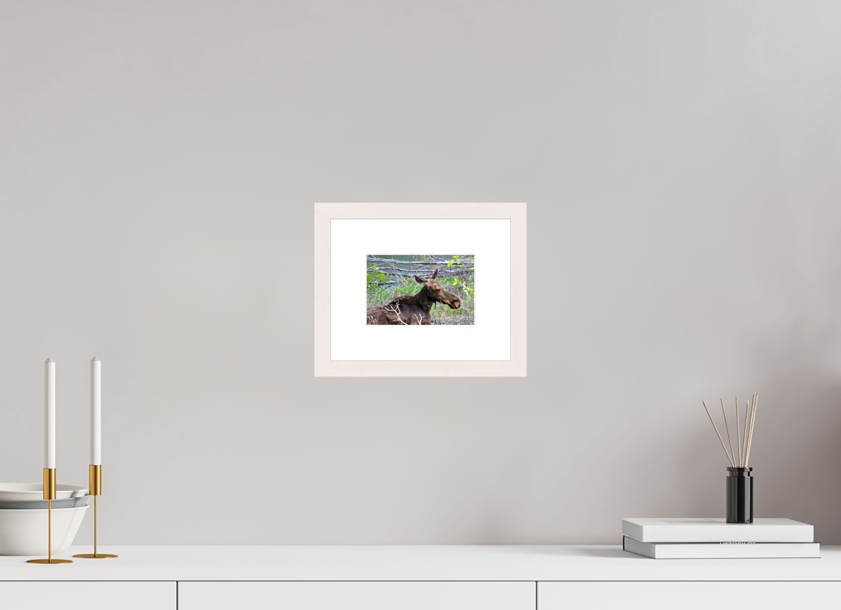6 x 4″, Solid Wood Frame with Passe-partout Moose Relaxing