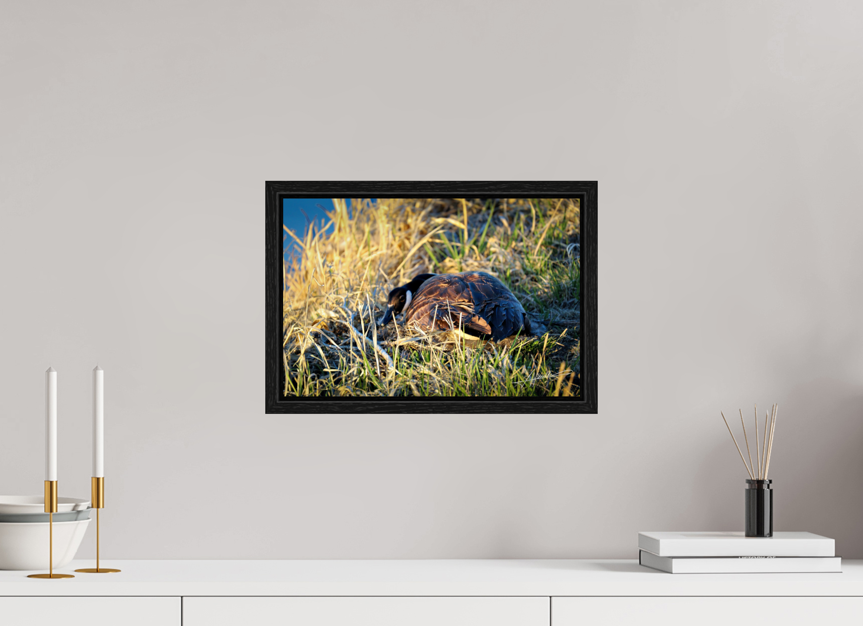 15 x 10″, Floater Frame New Nester