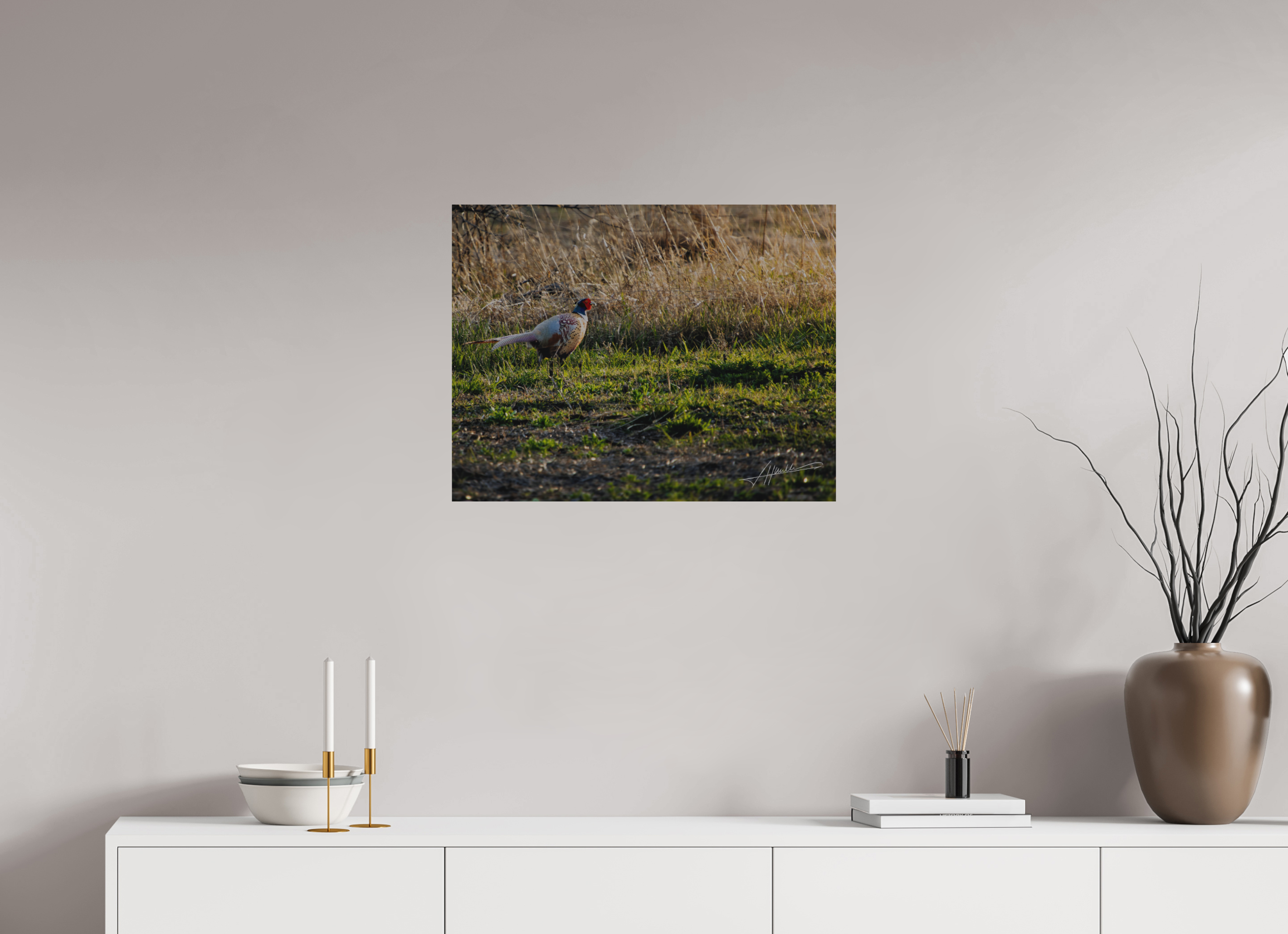 25.9 x 20″, Direct Brushed Aluminum Evening Pheasant