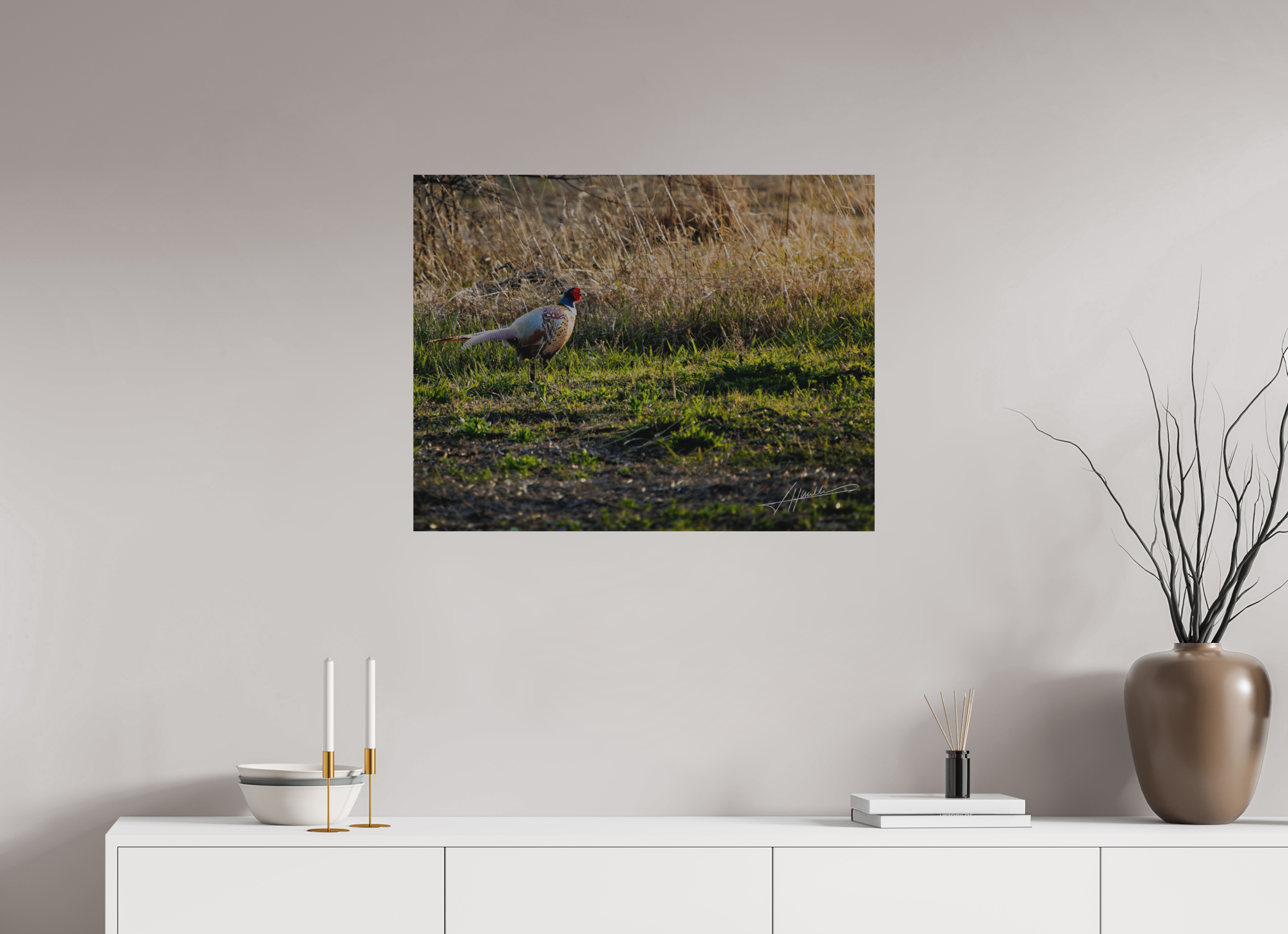 31.1 x 24″, Direct Brushed Aluminum Evening Pheasant