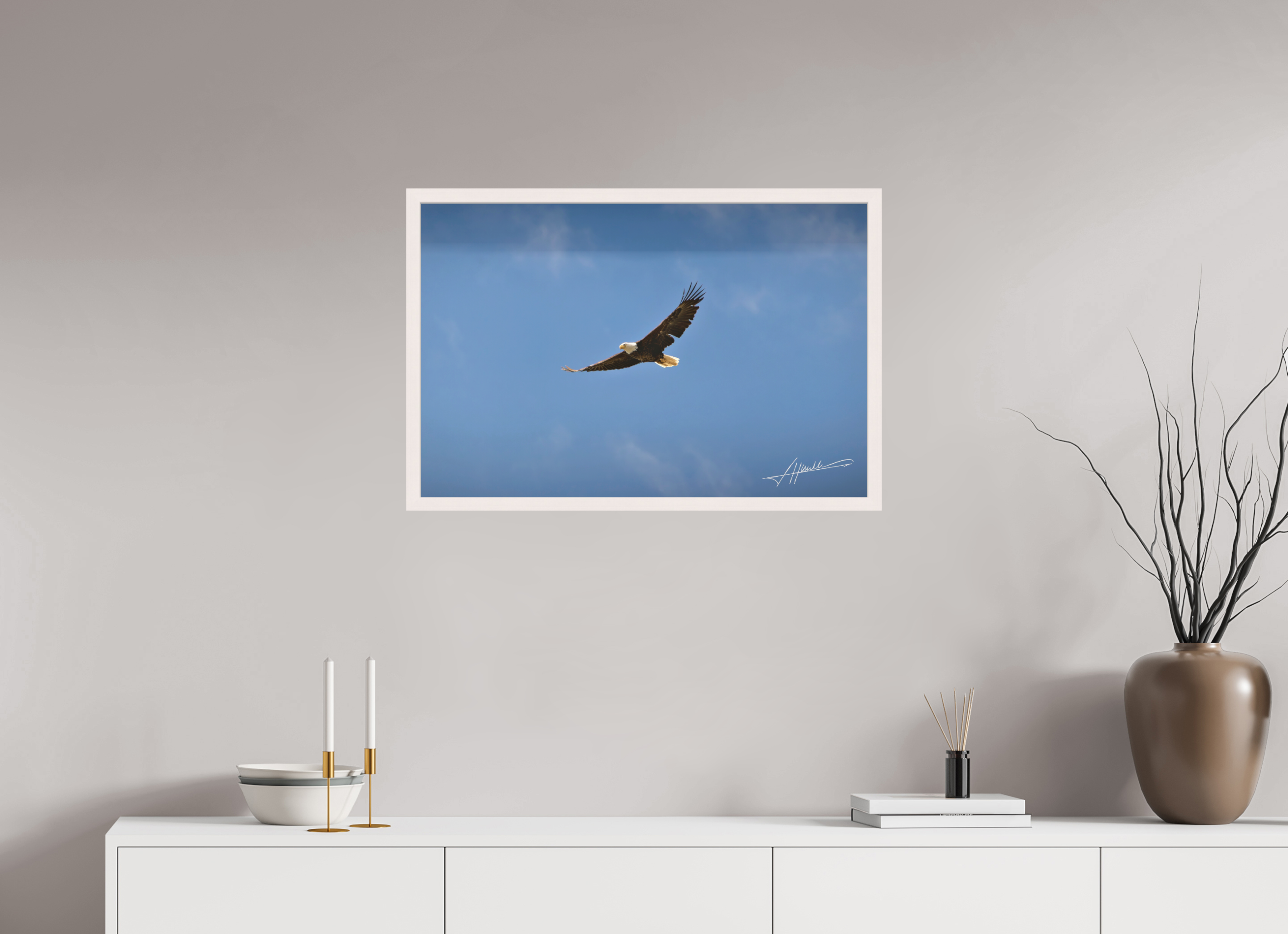 30 x 20″, Shadow Box Frame Soaring Free